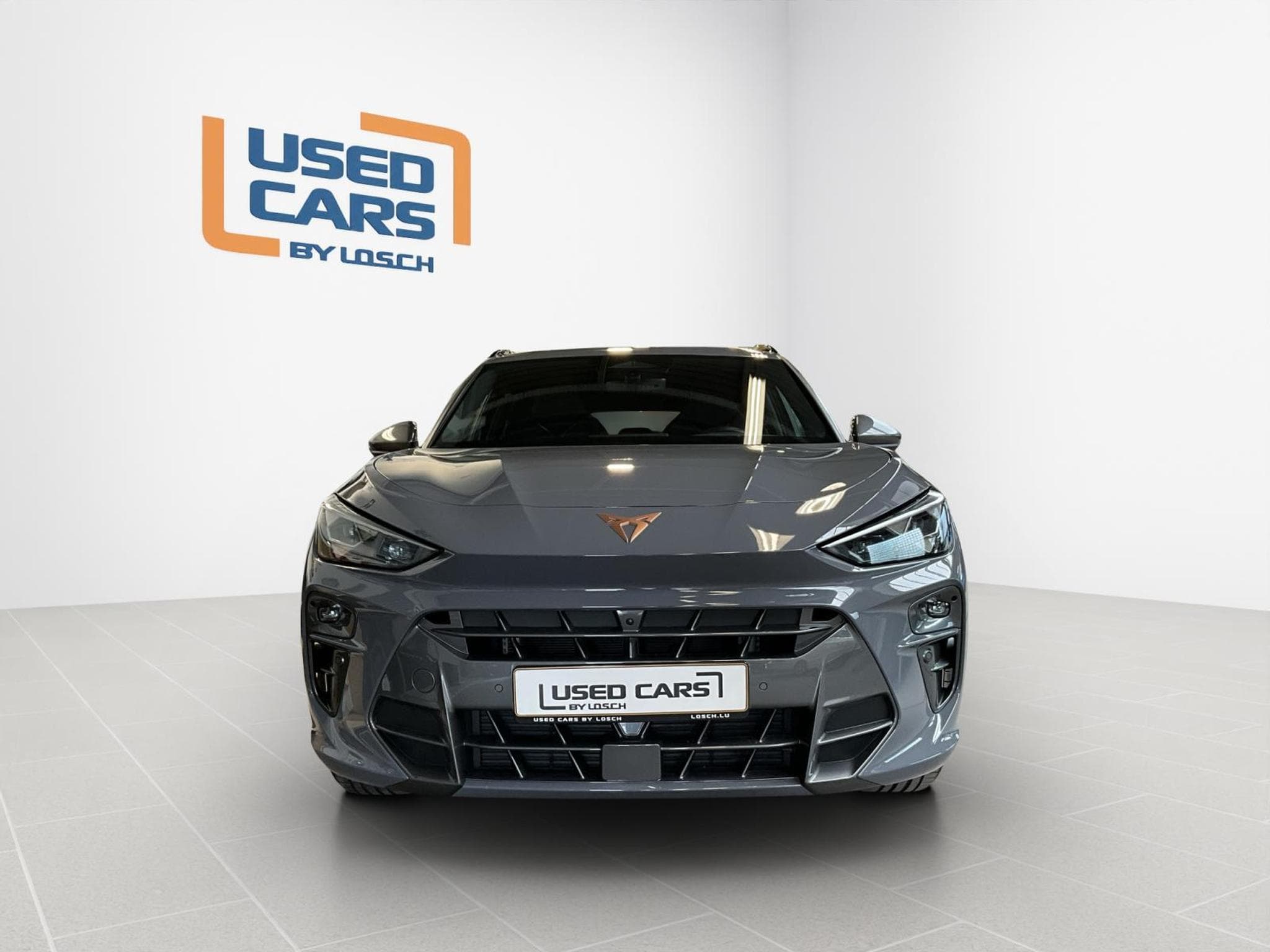 Cupra Terramar DSG+Pure-Perf.+Immersive-Sennheiser+AHK+Pano (2025) - Foto 3