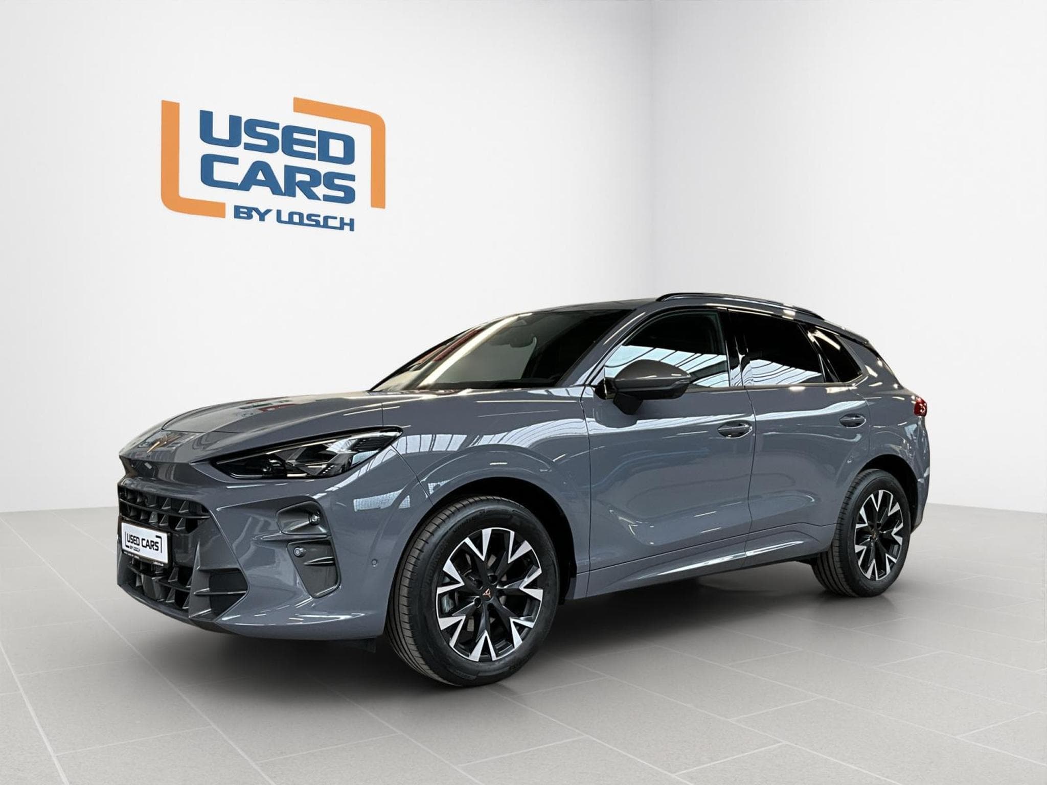 Cupra Terramar DSG+Pure-Perf.+Immersive-Sennheiser+AHK+Pano (2025) - Foto 4