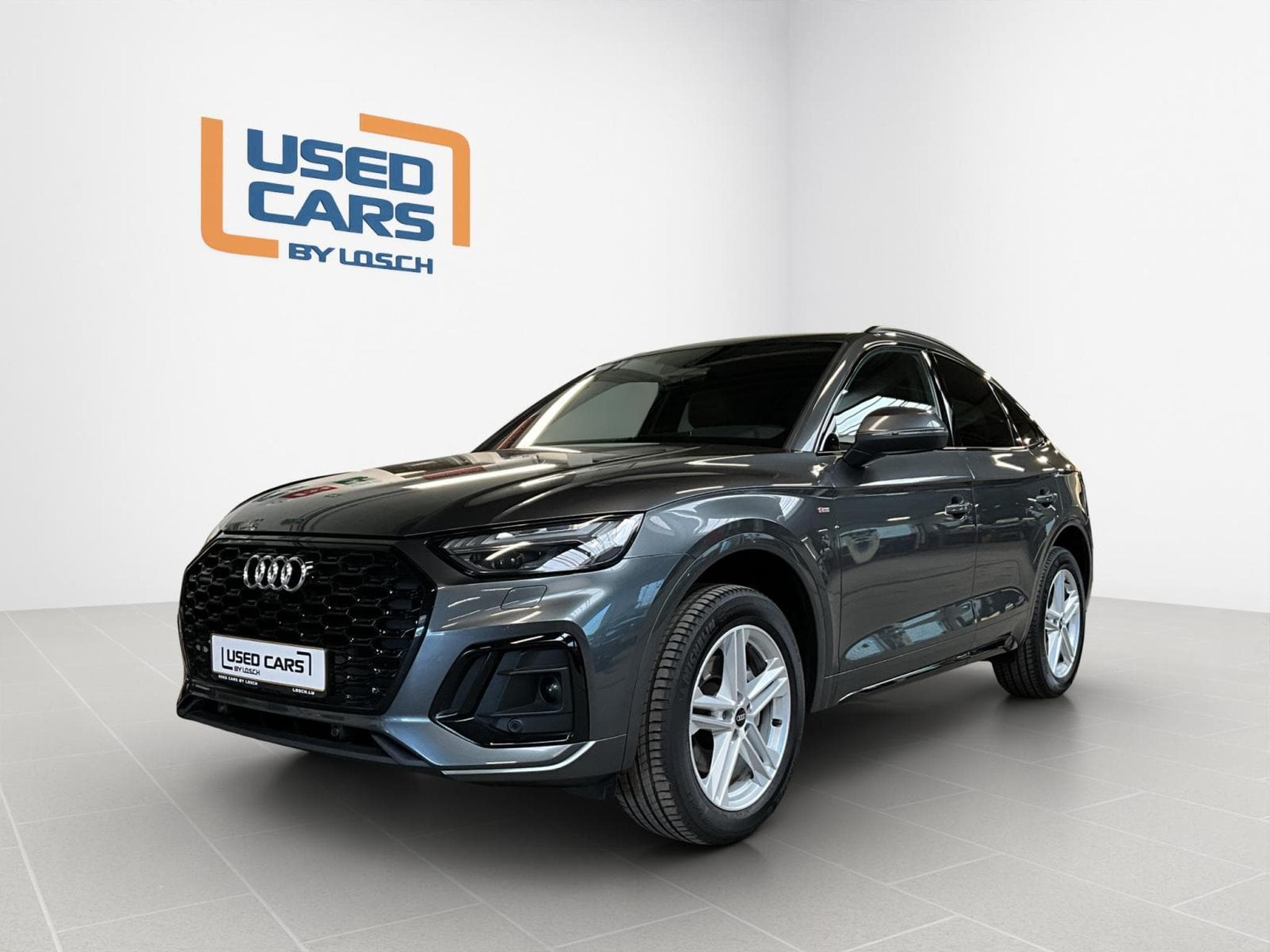 Audi Q5 SB+S-line+Quattro+P.Premium+LM19 (2022) - Foto 1