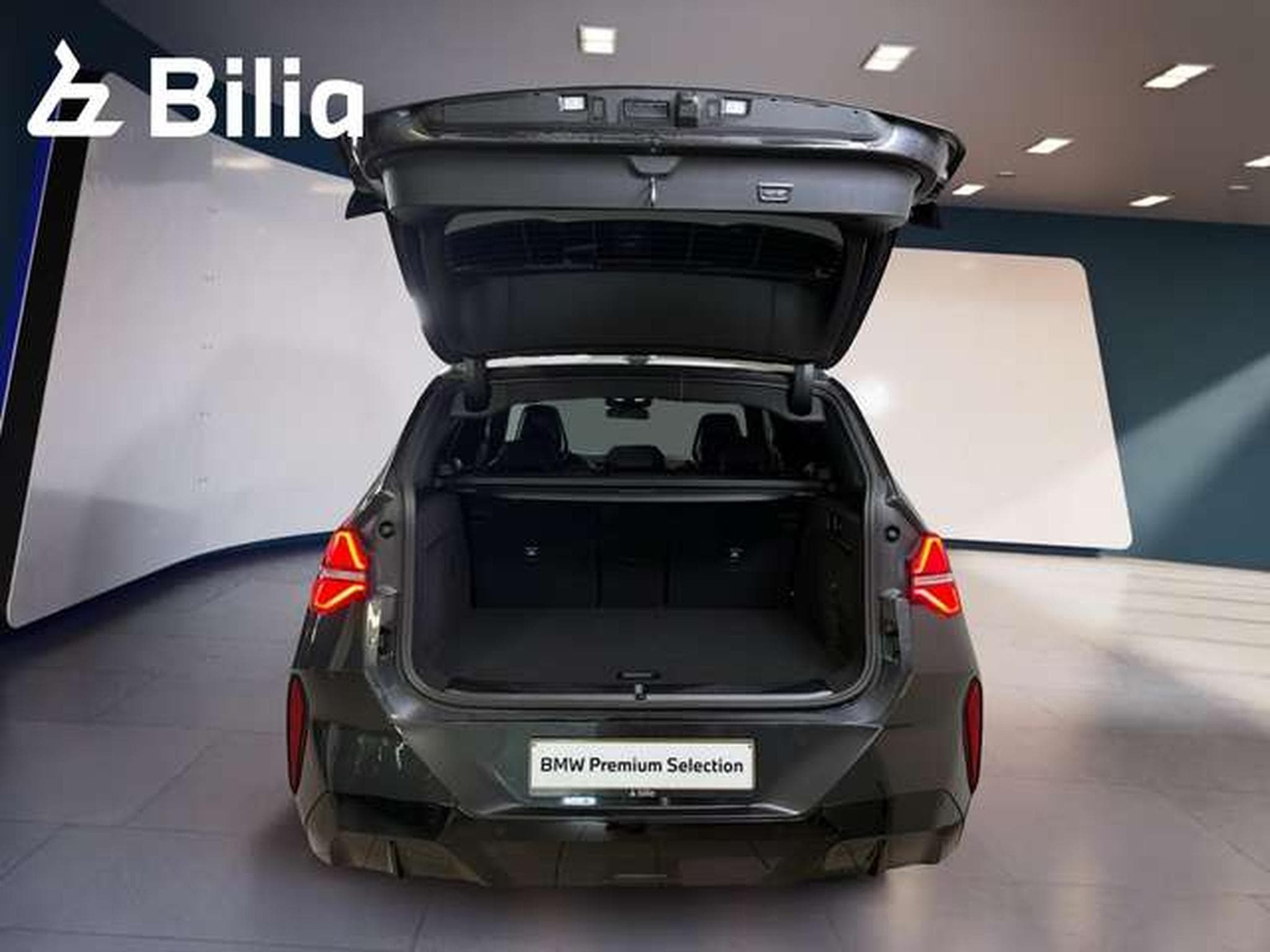 BMW X3 40d xDrive HK HiFi DAB LED RFK (2025) - Foto 10