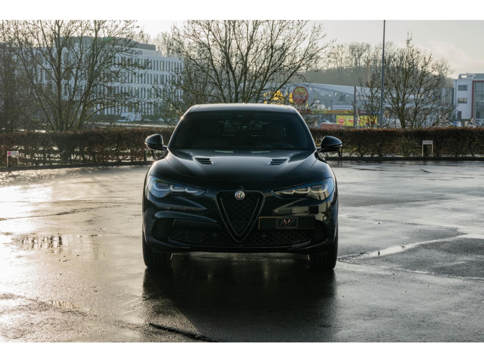 Alfa-Romeo Stelvio 2.9 Bi-Turbo V6  - Toit ouvrant pano - H&K - Carbone /Cérami (2023) - Photo 1