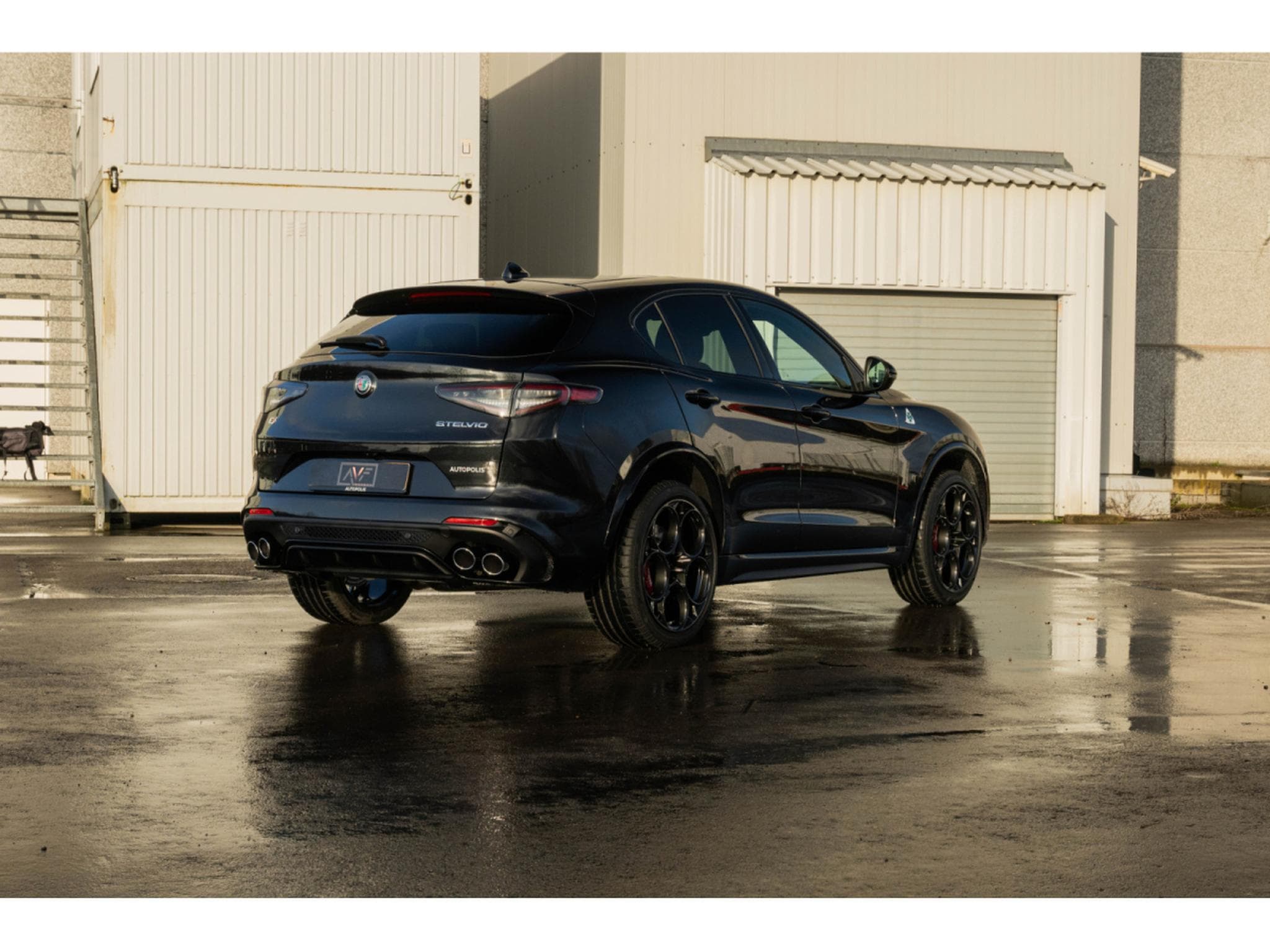 Alfa-Romeo Stelvio 2.9 Bi-Turbo V6  - Toit ouvrant pano - H&K - Carbone /Cérami (2023) - Photo 3