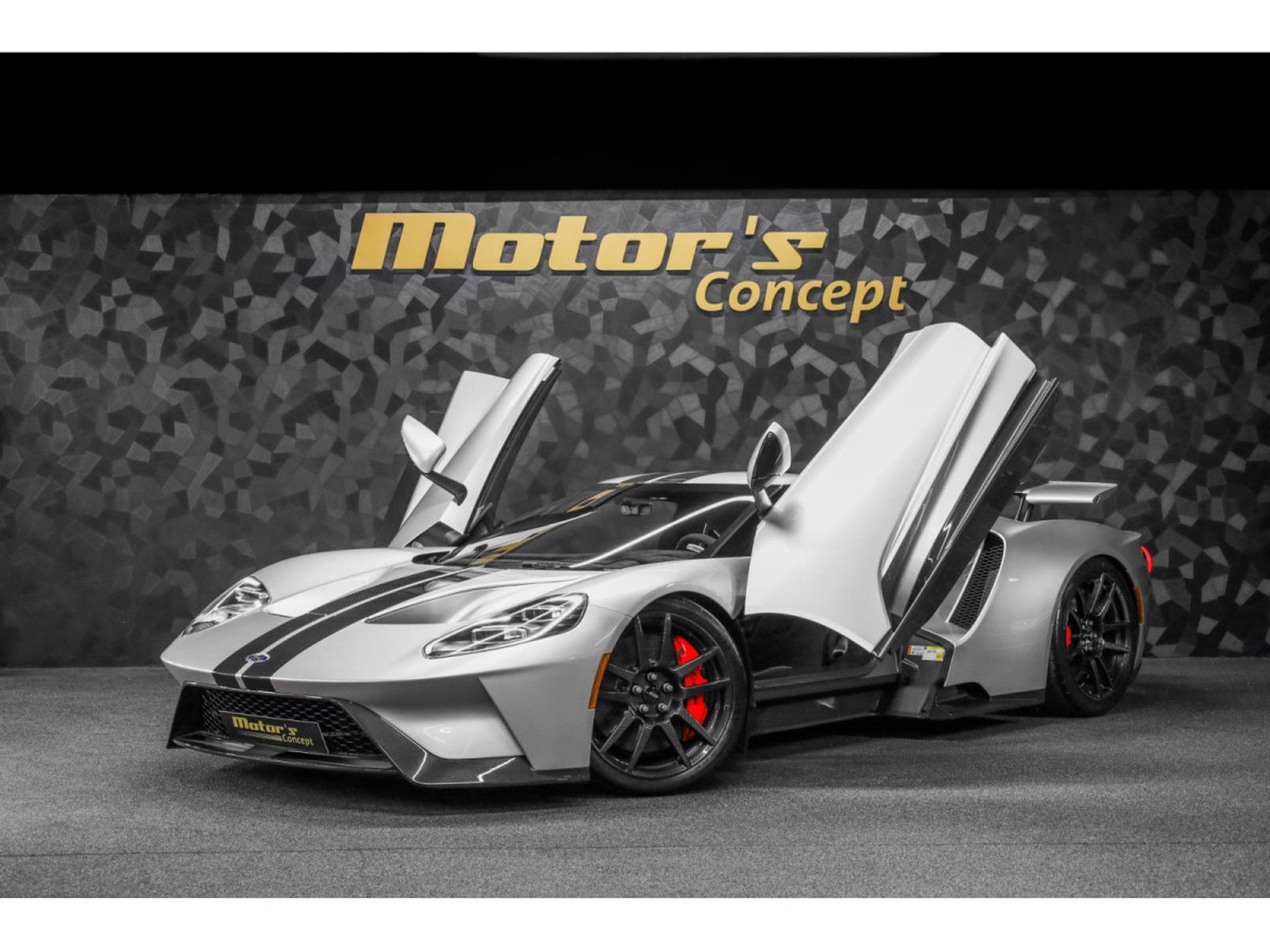 Ford AMG GT Carbon Series - Ingot Silver (2023) - Photo 1
