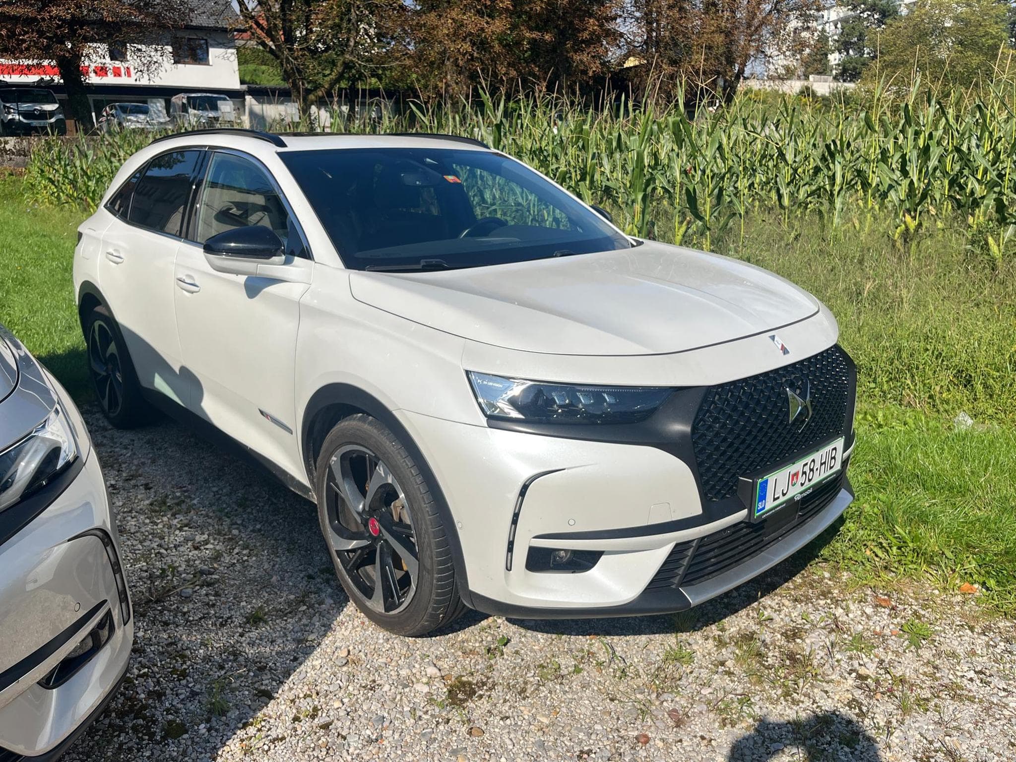 DS Automobiles DS7 Performance Line Plus (2022) - Foto 2