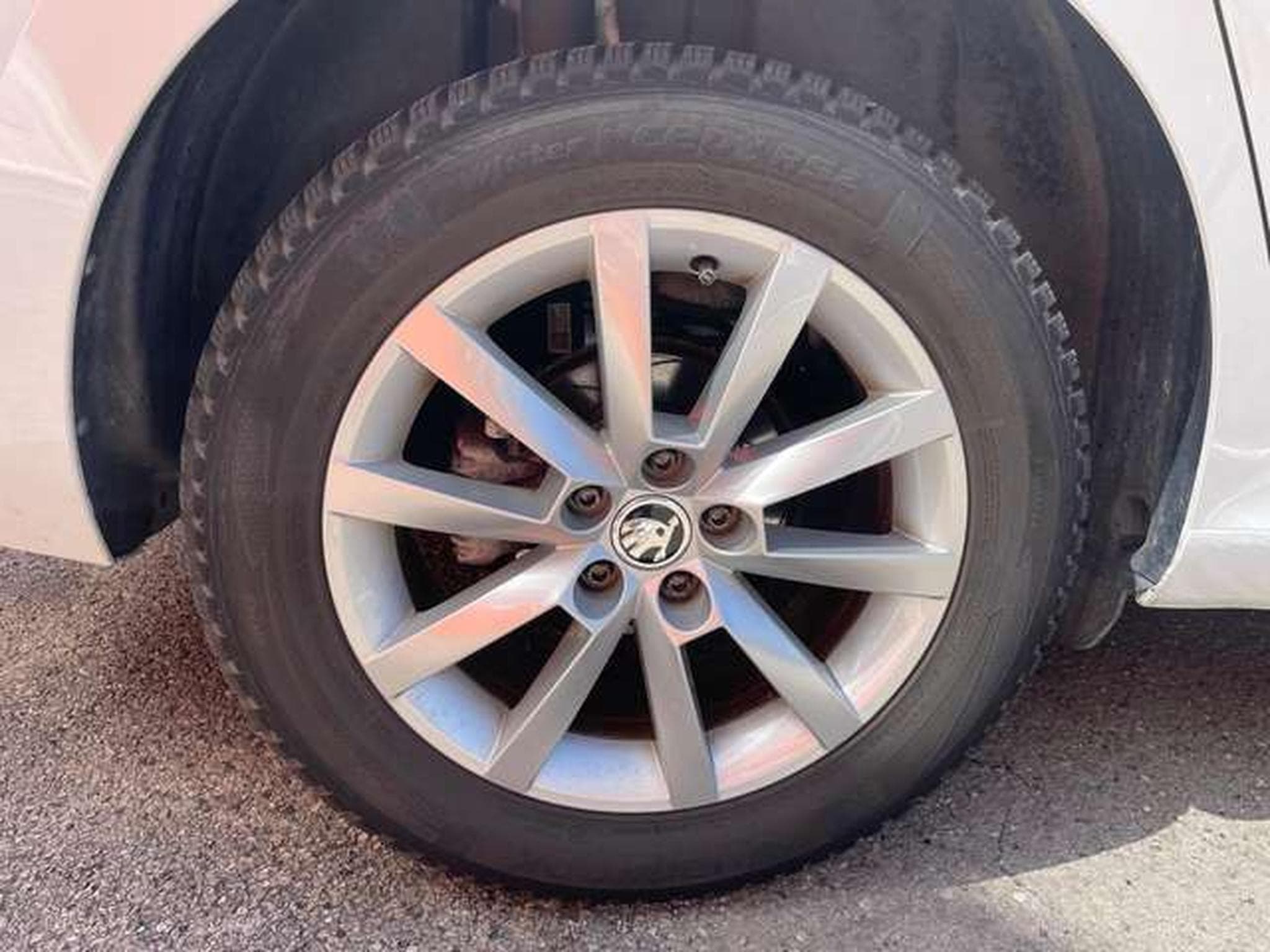 Skoda Scala Scala 1.0 TSI - JUSQU'A 3 ANS DE GARANTIE (2020) - Photo 28
