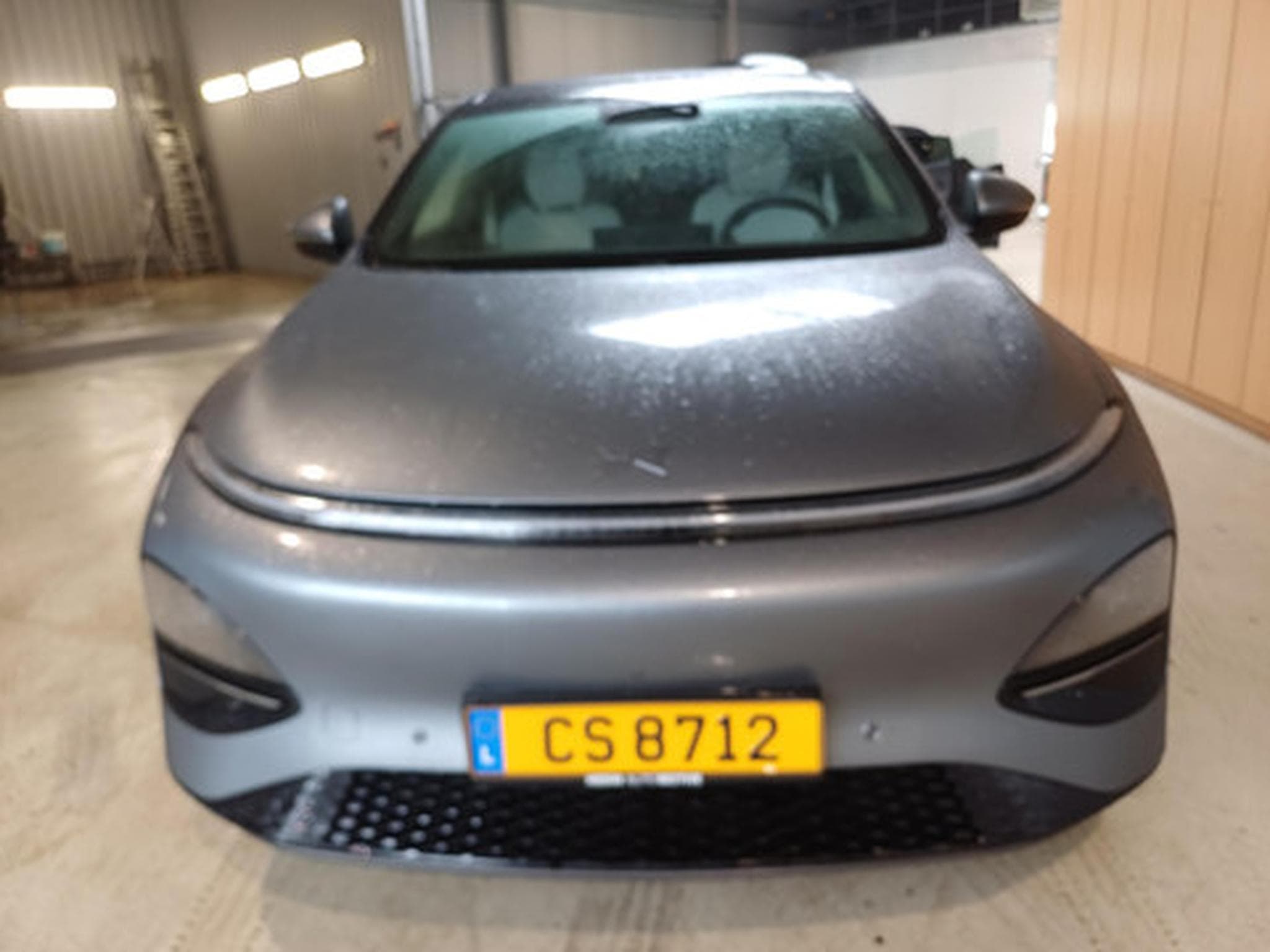 Xpeng G6 New AWD Performan (2025) - Foto 2