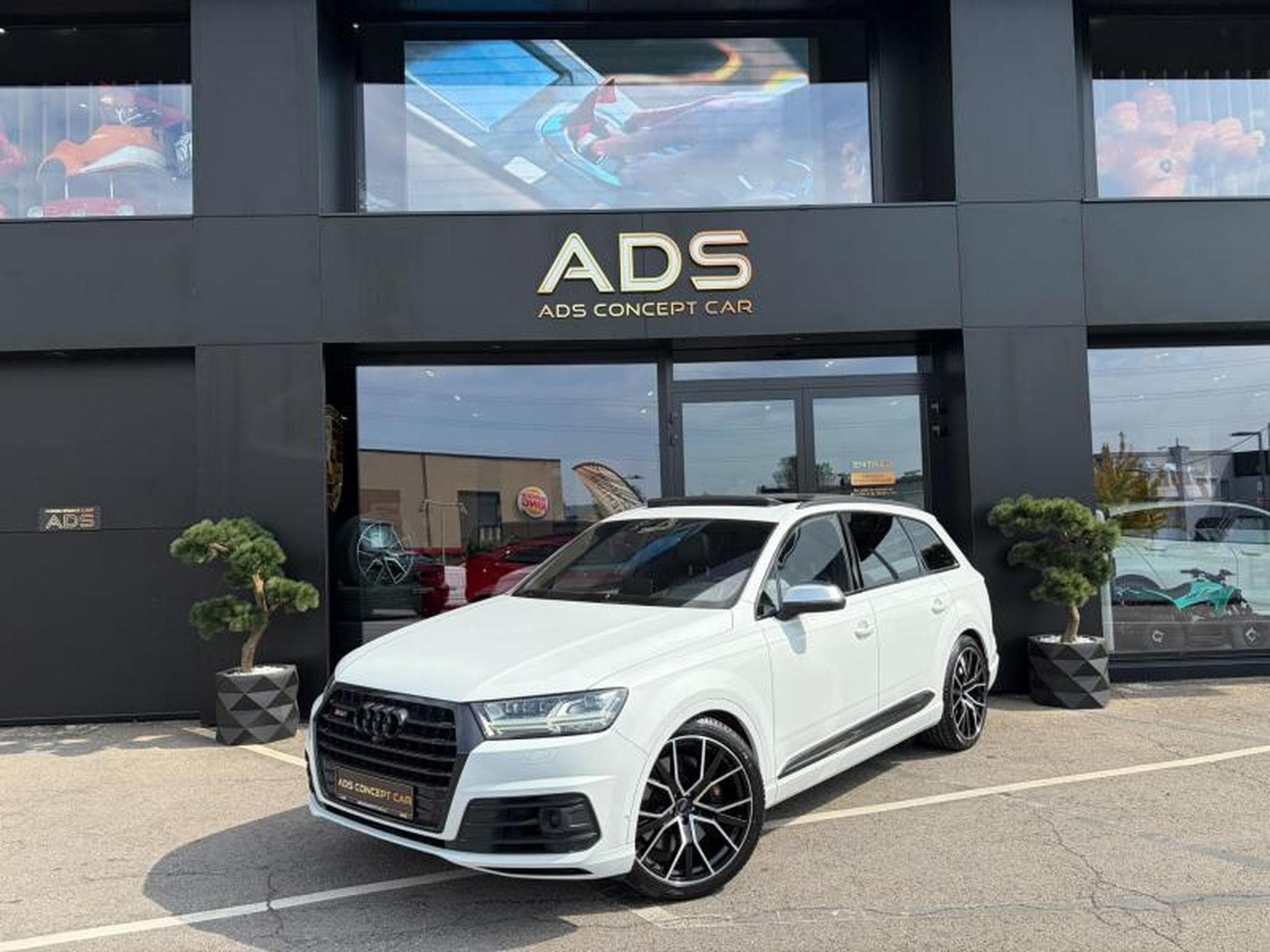 Audi SQ7 4.0d (2018) - Photo 1