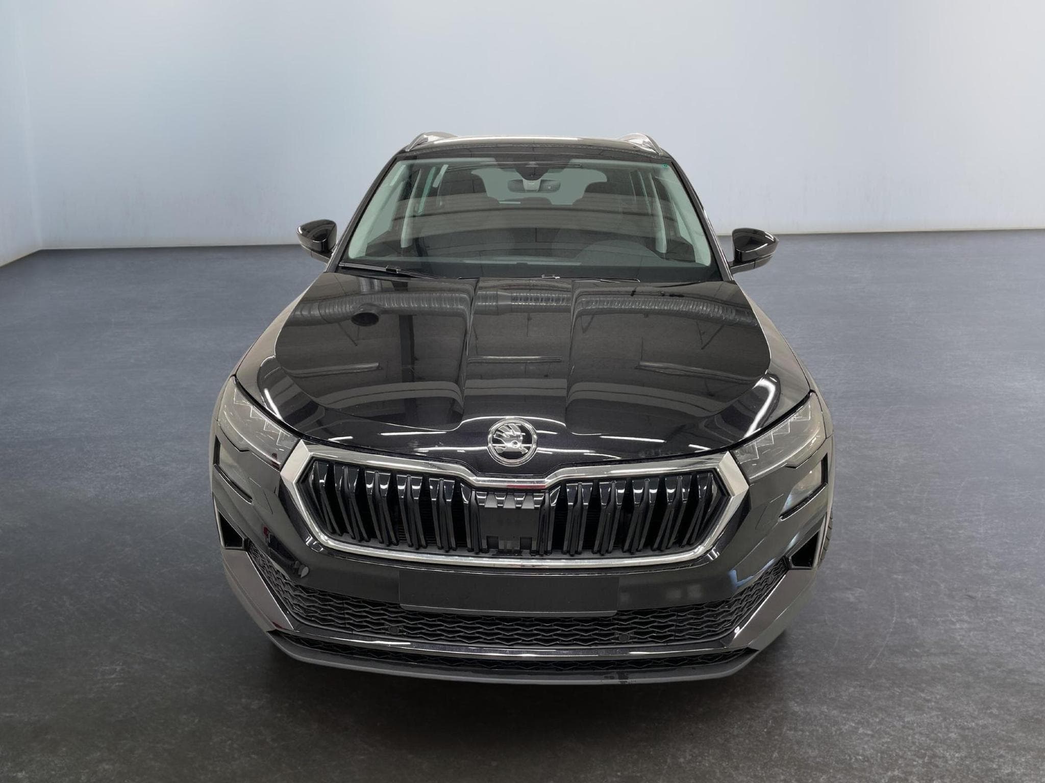 Skoda Karoq Selection (2026) - Photo 2