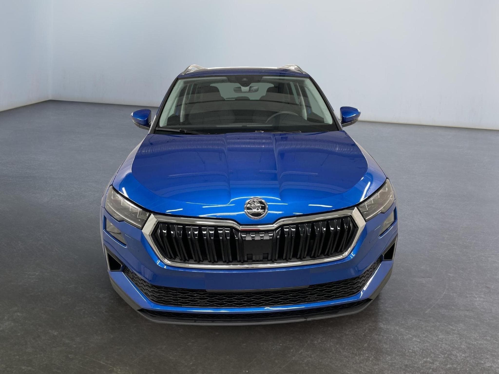 Skoda Karoq Selection (2026) - Photo 2