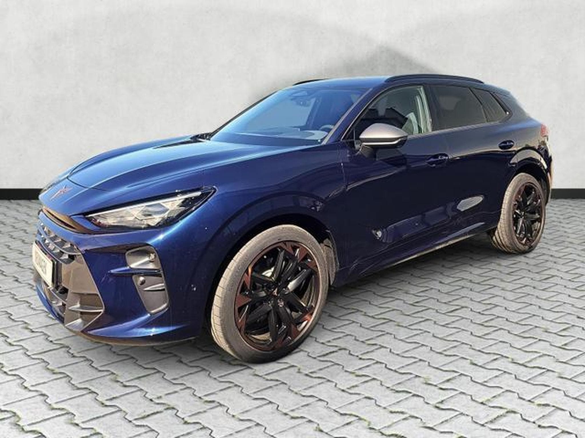 Cupra Terramar 2.0 TSI 195 kW 4Drive VZ (2026) - Foto 3