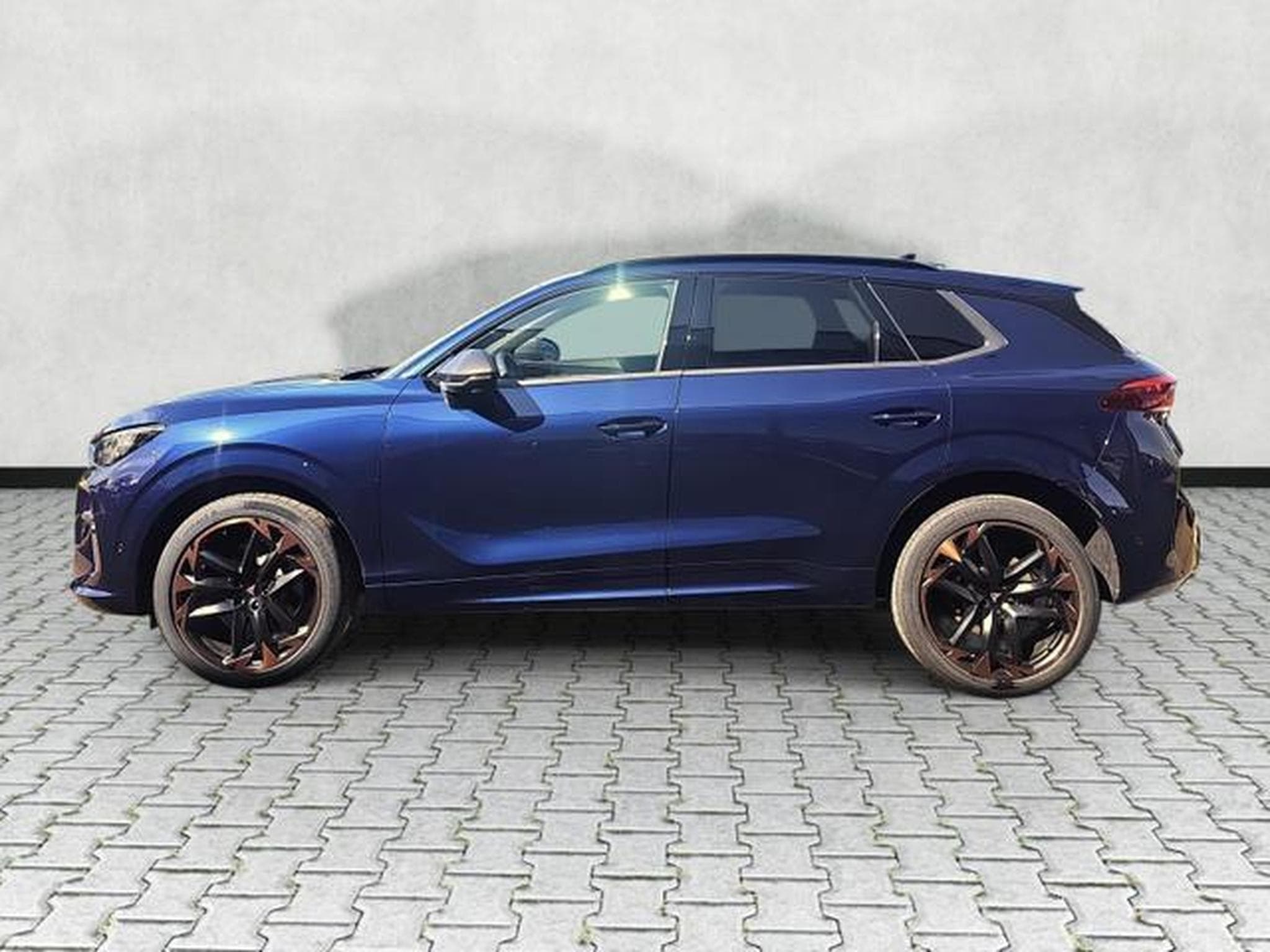 Cupra Terramar 2.0 TSI 195 kW 4Drive VZ (2026) - Foto 4