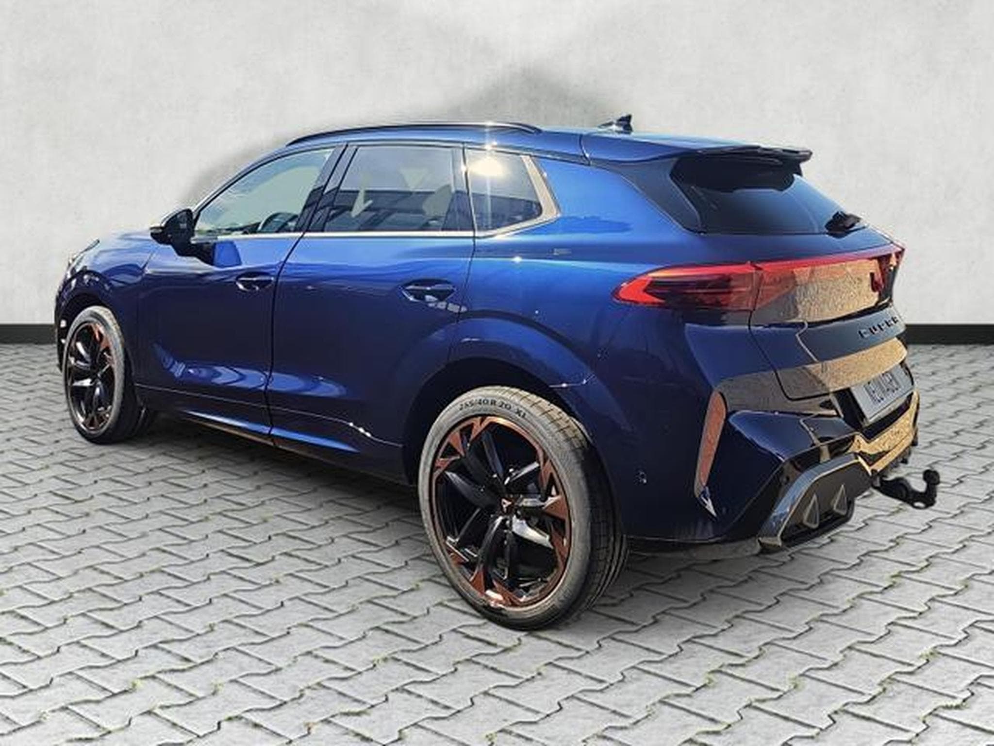 Cupra Terramar 2.0 TSI 195 kW 4Drive VZ (2026) - Foto 5