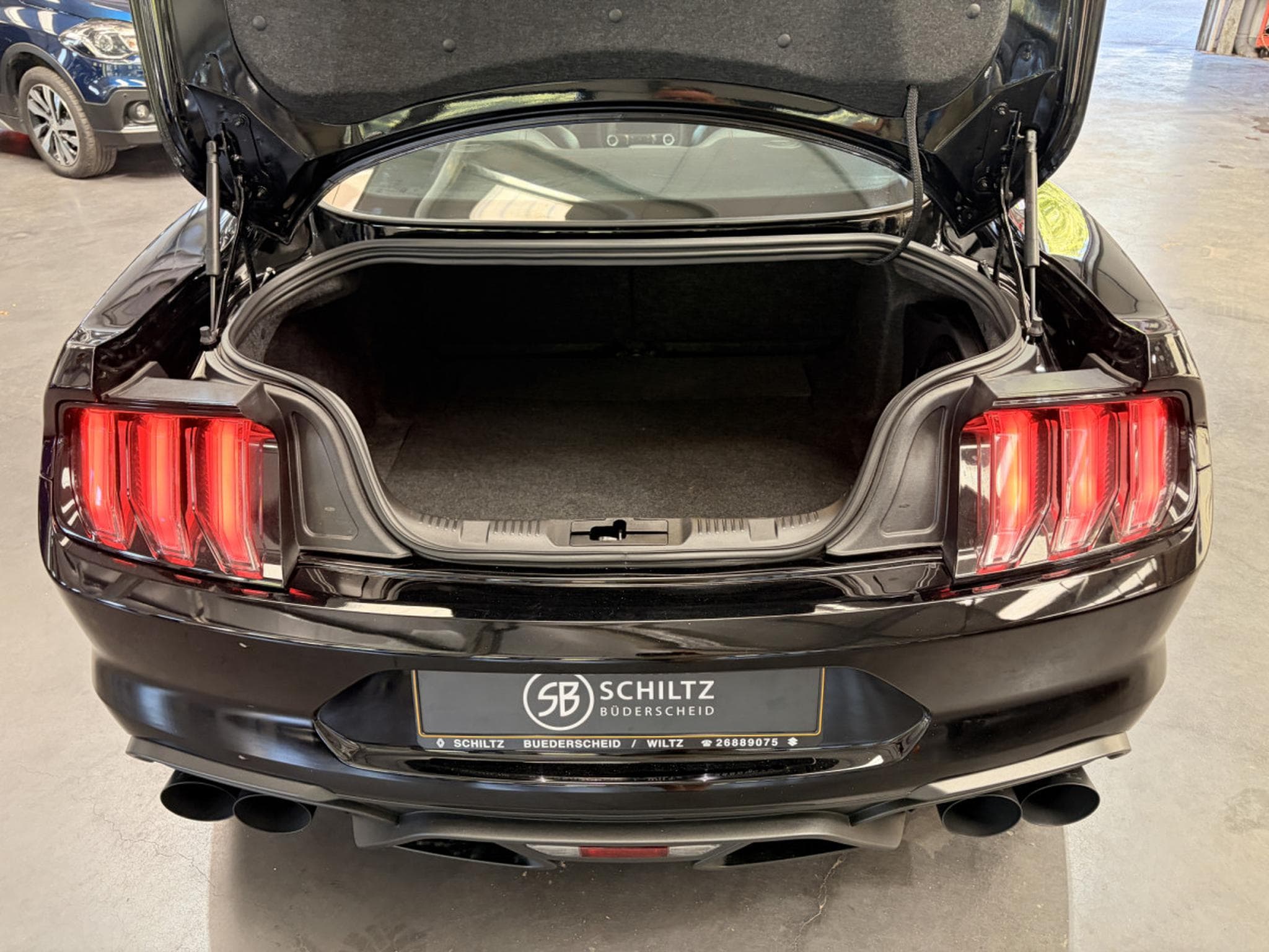 Ford Mustang 5.0 V8 MACH 1 460HP (2023) - Photo 14