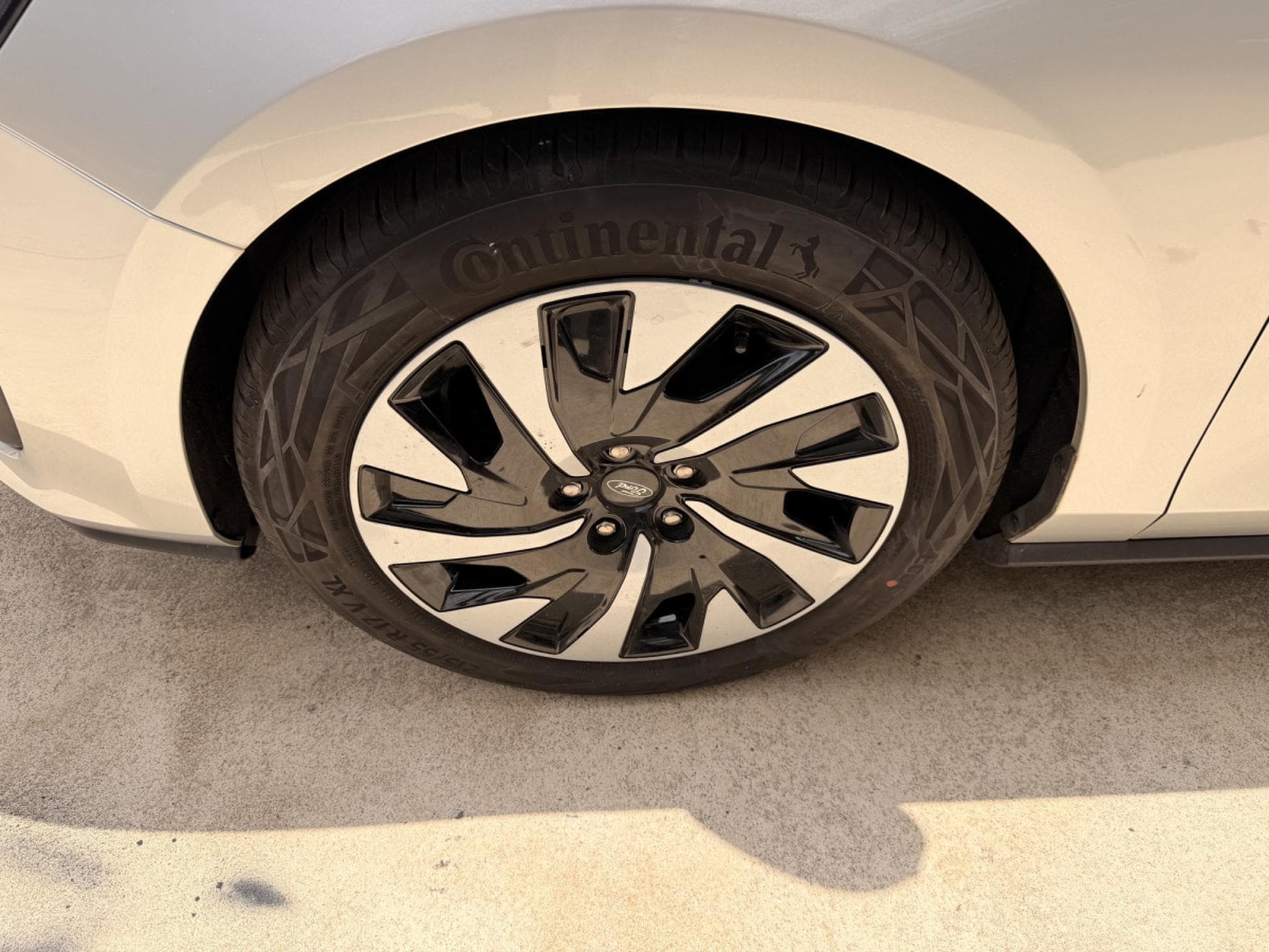 Ford Focus Clipper Titanium 1.5 Ecoblue 115cv A8 (2024) - Foto 2