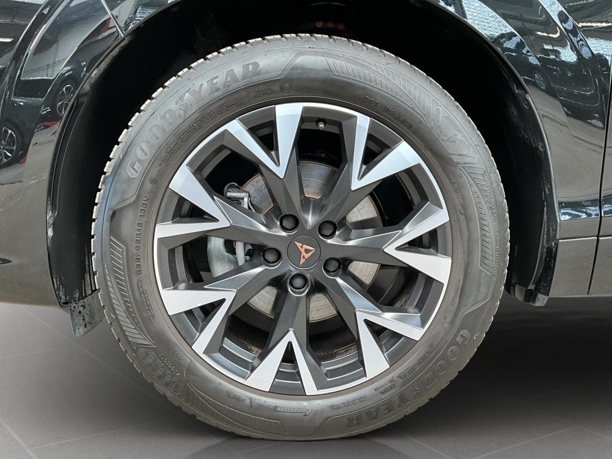 Cupra Terramar DSG+Digi.-Drive+RearView+LED (2025) - Photo 8