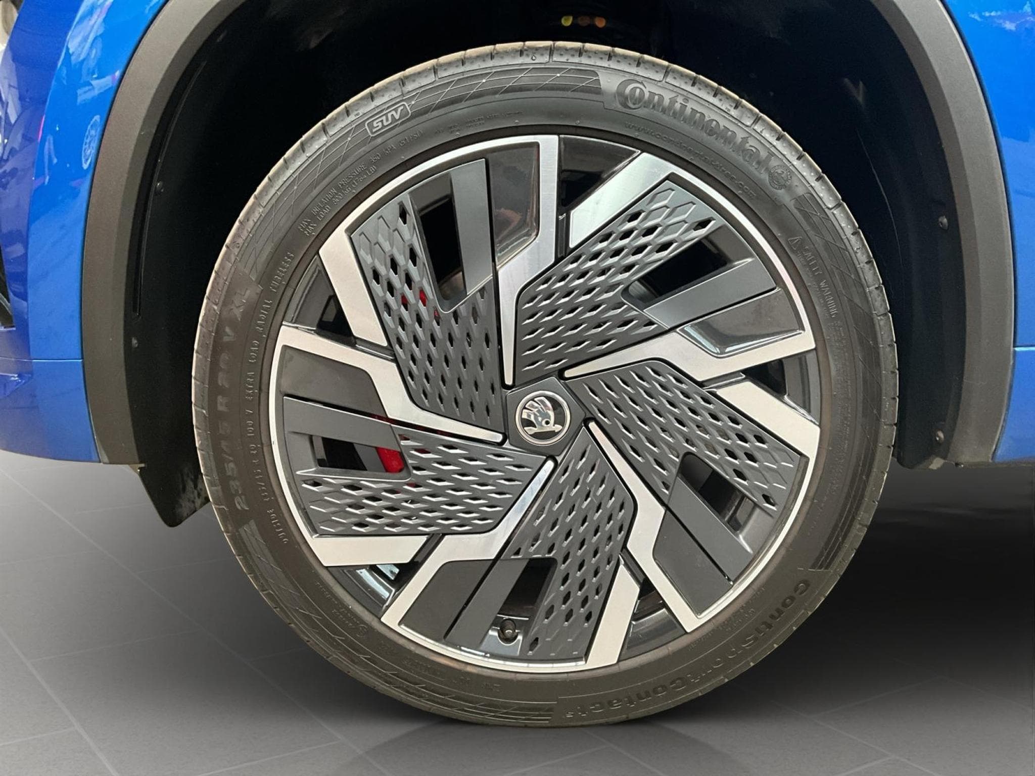 Skoda Kodiaq RS+DSG+4x4+Stand-H.+AHK (2022) - Photo 8