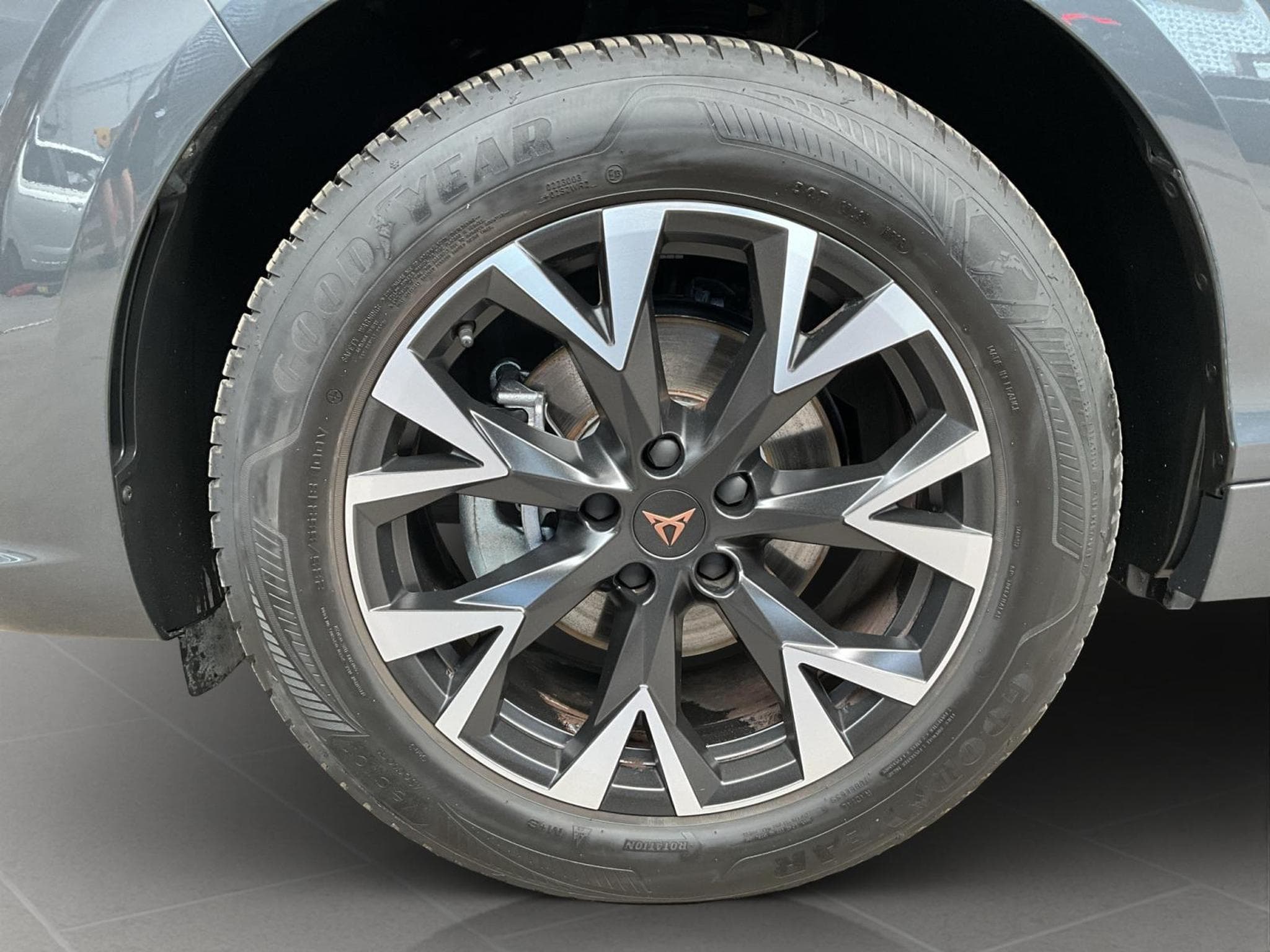 Cupra Terramar DSG+Digi.-Drive+RearView+LED (2025) - Photo 8