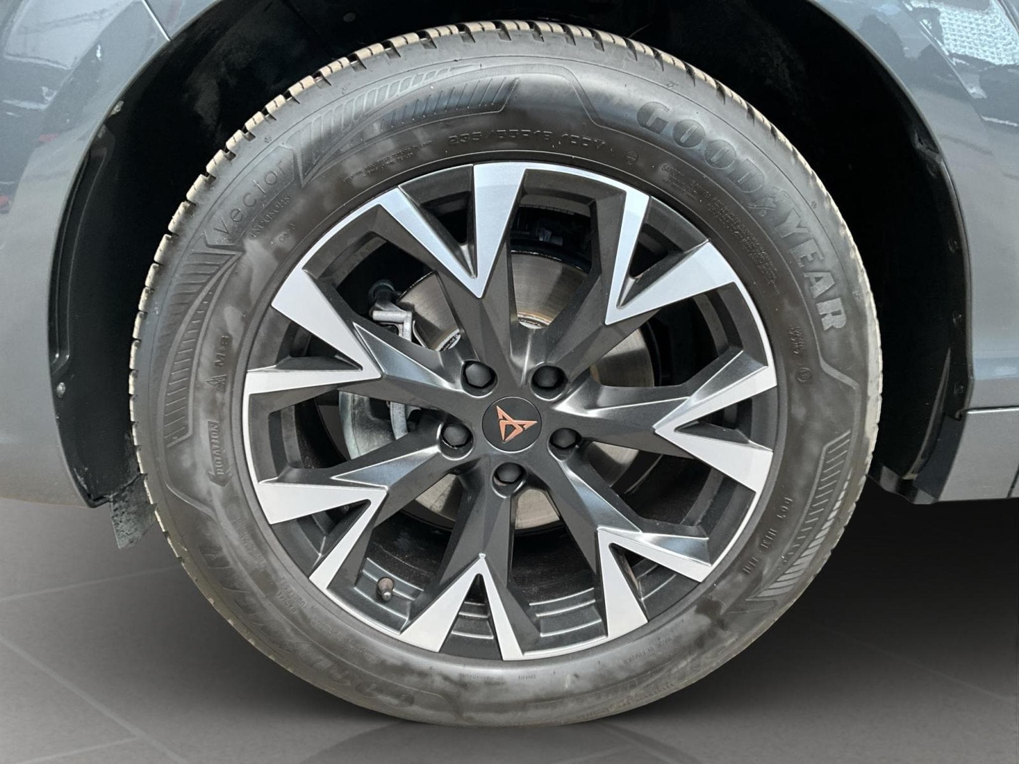 Cupra Terramar DSG+Digi.-Drive+RearView+LED (2025) - Photo 8