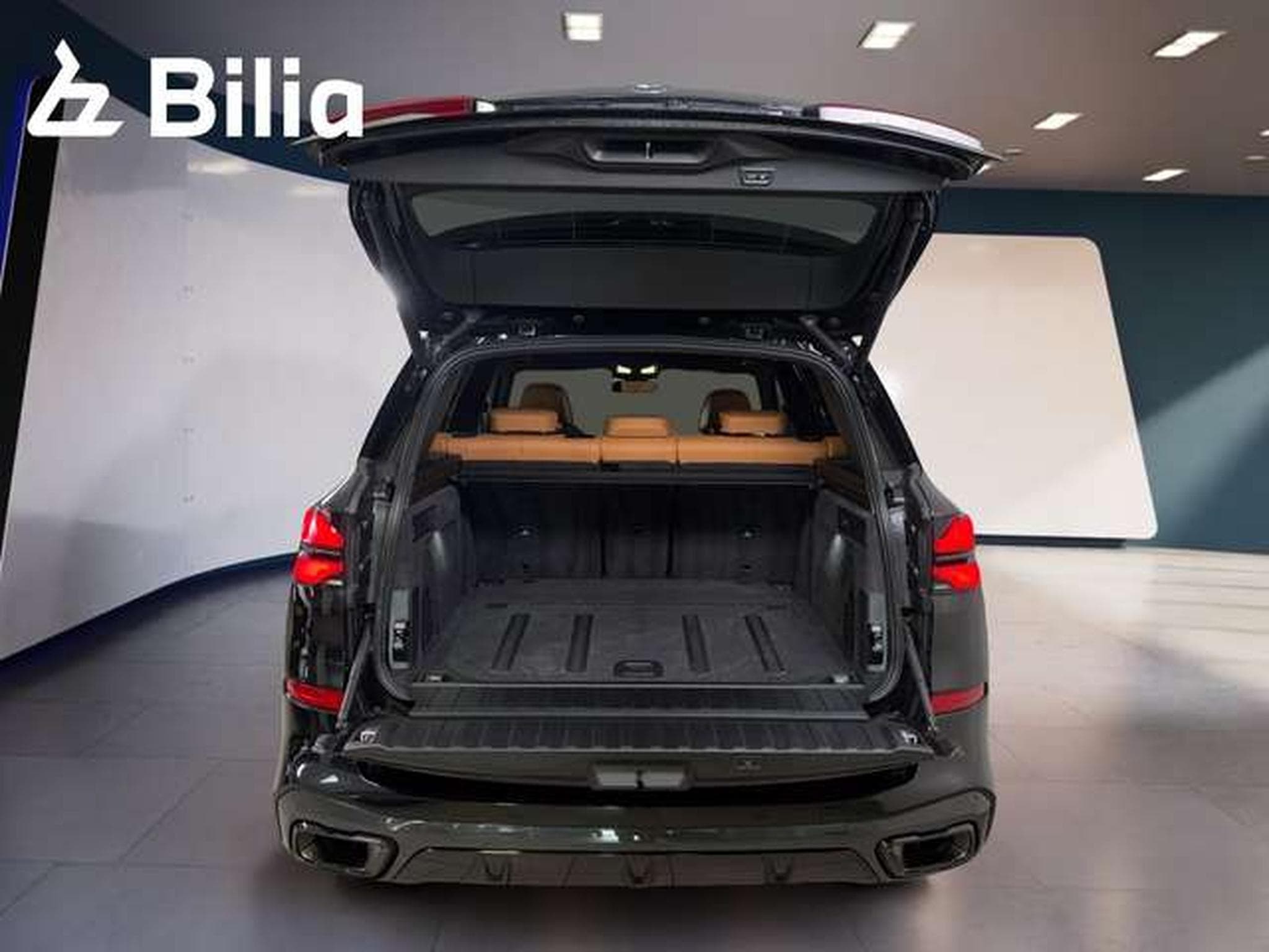BMW X5 xDrive30d HK HiFi DAB LED (2026) - Foto 10