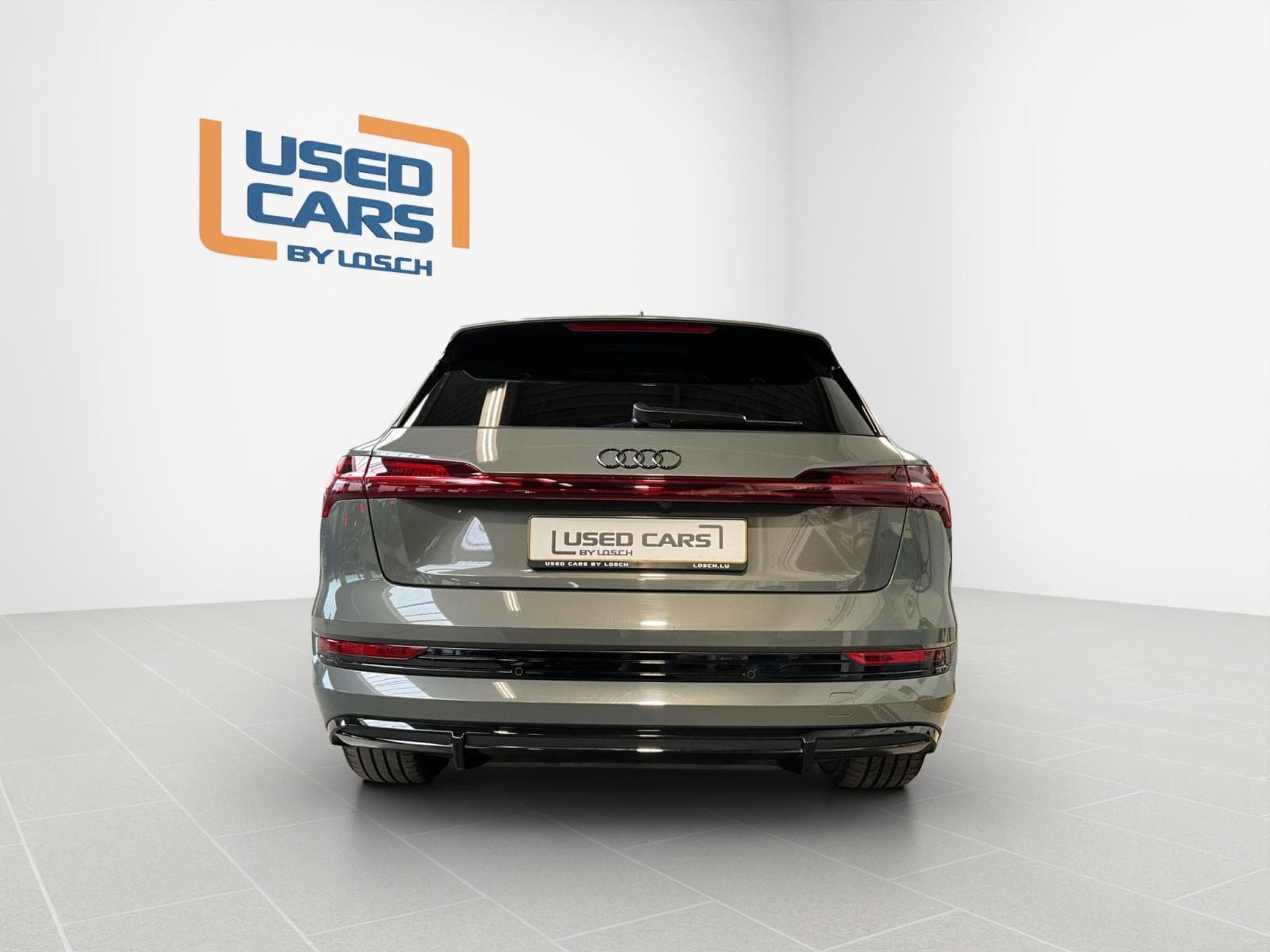 Audi e-tron S-Line-55+Quattro+P.Ass.+Matrix+P.Technology (2022) - Foto 8