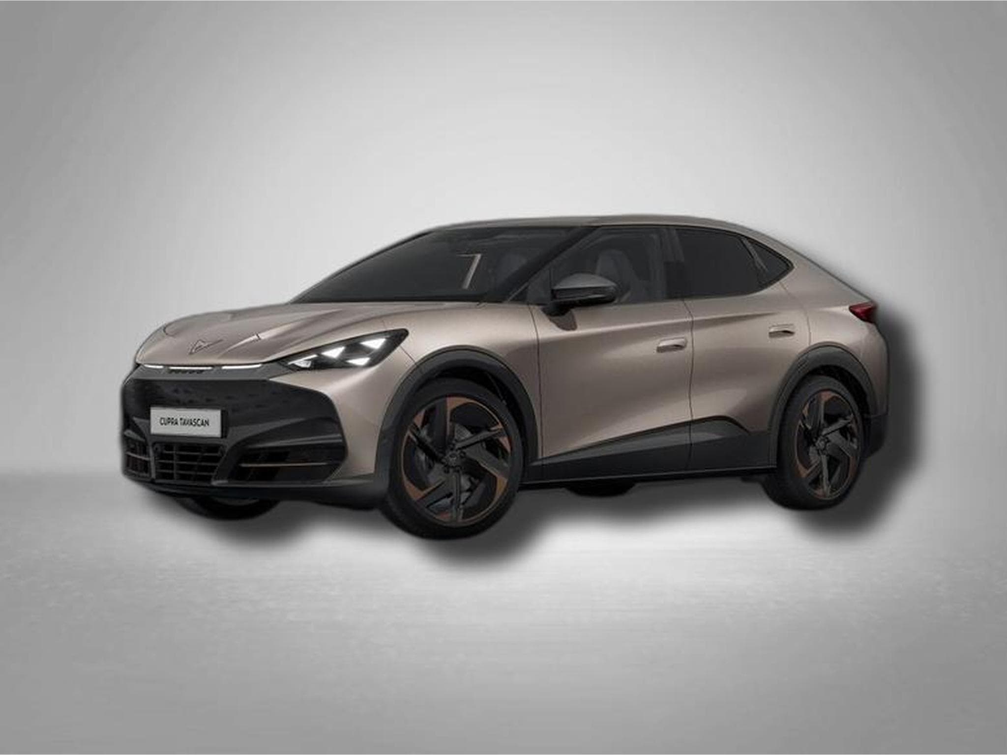 Cupra Tavascan Endurance Elektro 77 kWh (2026) - Photo 1