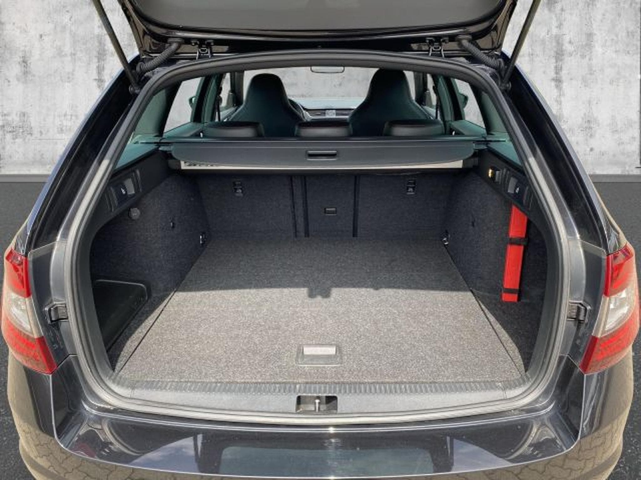 Skoda Octavia Octavia RS 2.0 TDI DSG 4x4 NAVI LED RFK Canton (2018) - Photo 10