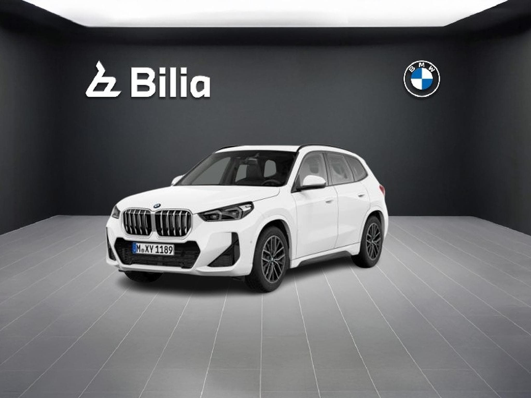 BMW X1 X1 sDrive20i M Sport (2025) - Foto 1
