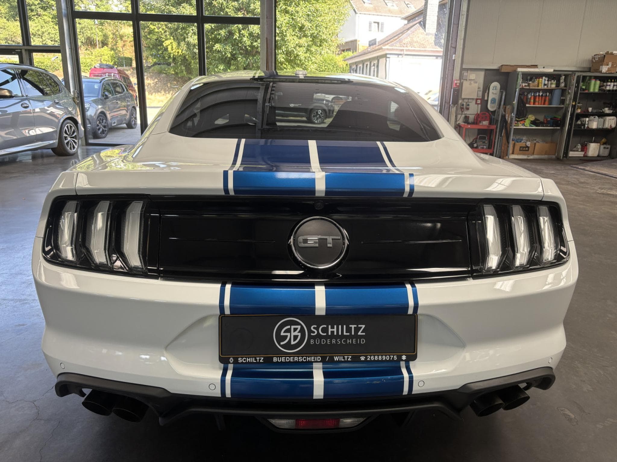 Ford Mustang GT 5.0 V8 FastBack (2020) - Photo 4