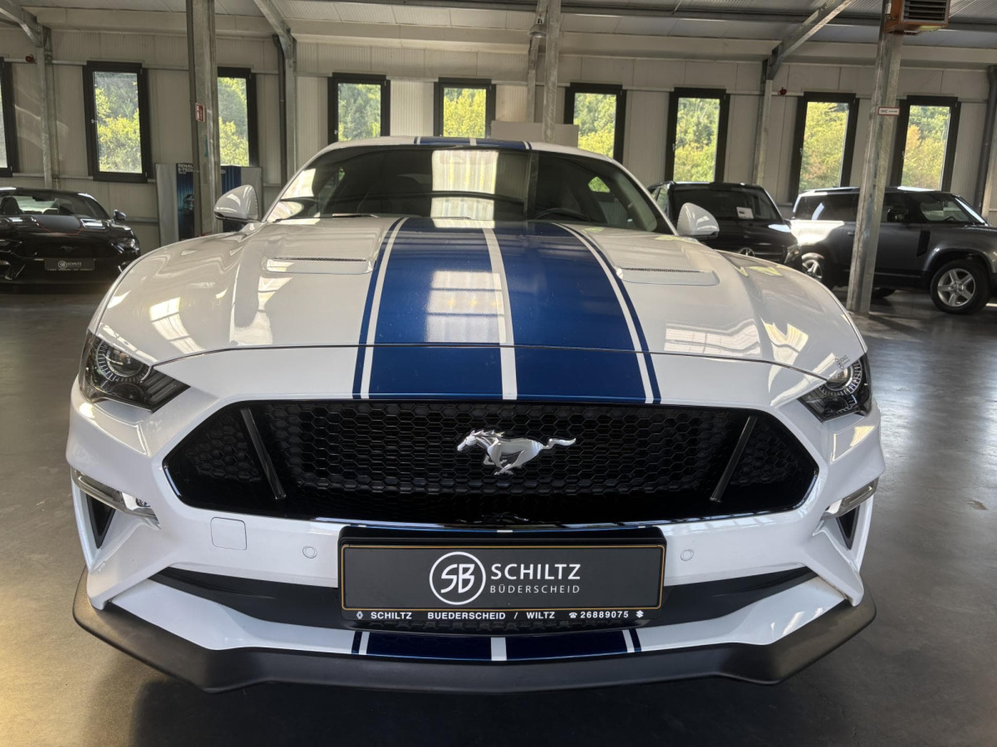 Ford Mustang GT 5.0 V8 FastBack (2020) - Photo 7