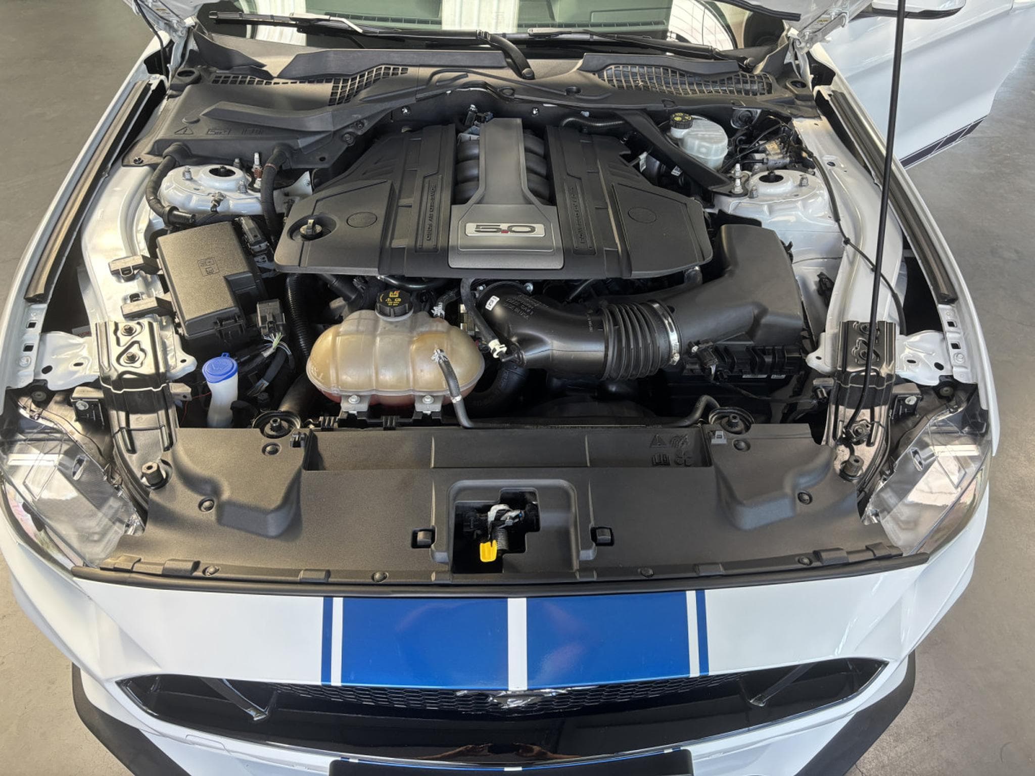 Ford Mustang GT 5.0 V8 FastBack (2020) - Photo 9