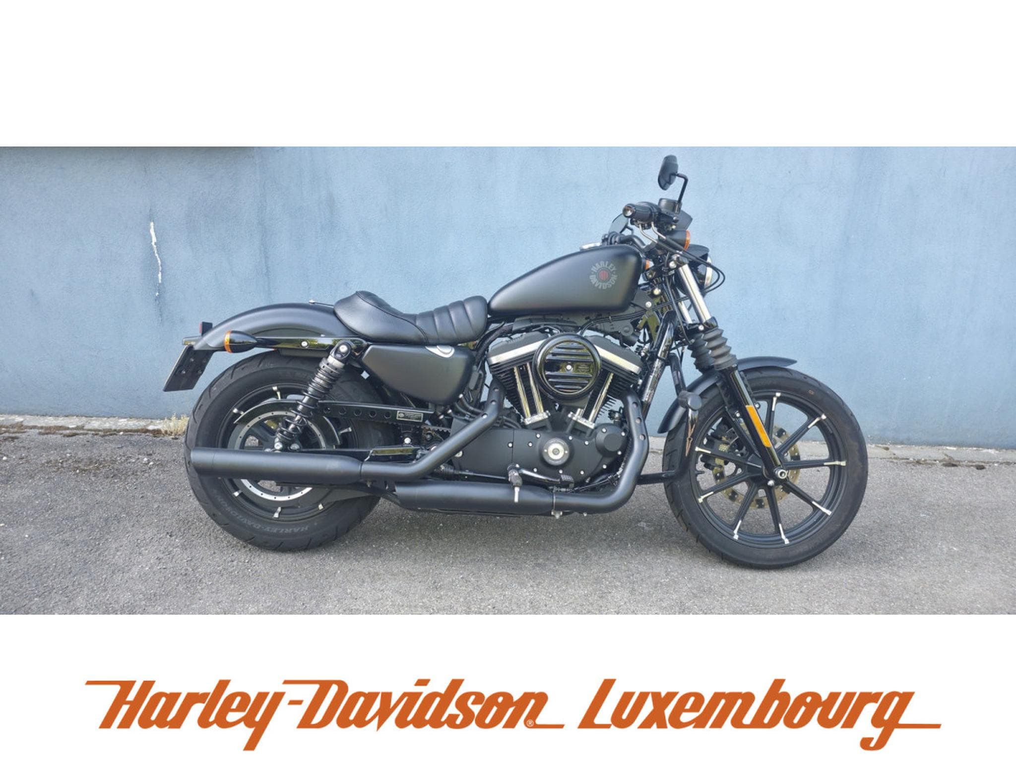 Harley-Davidson Sportster 883 (2019) - Foto 1