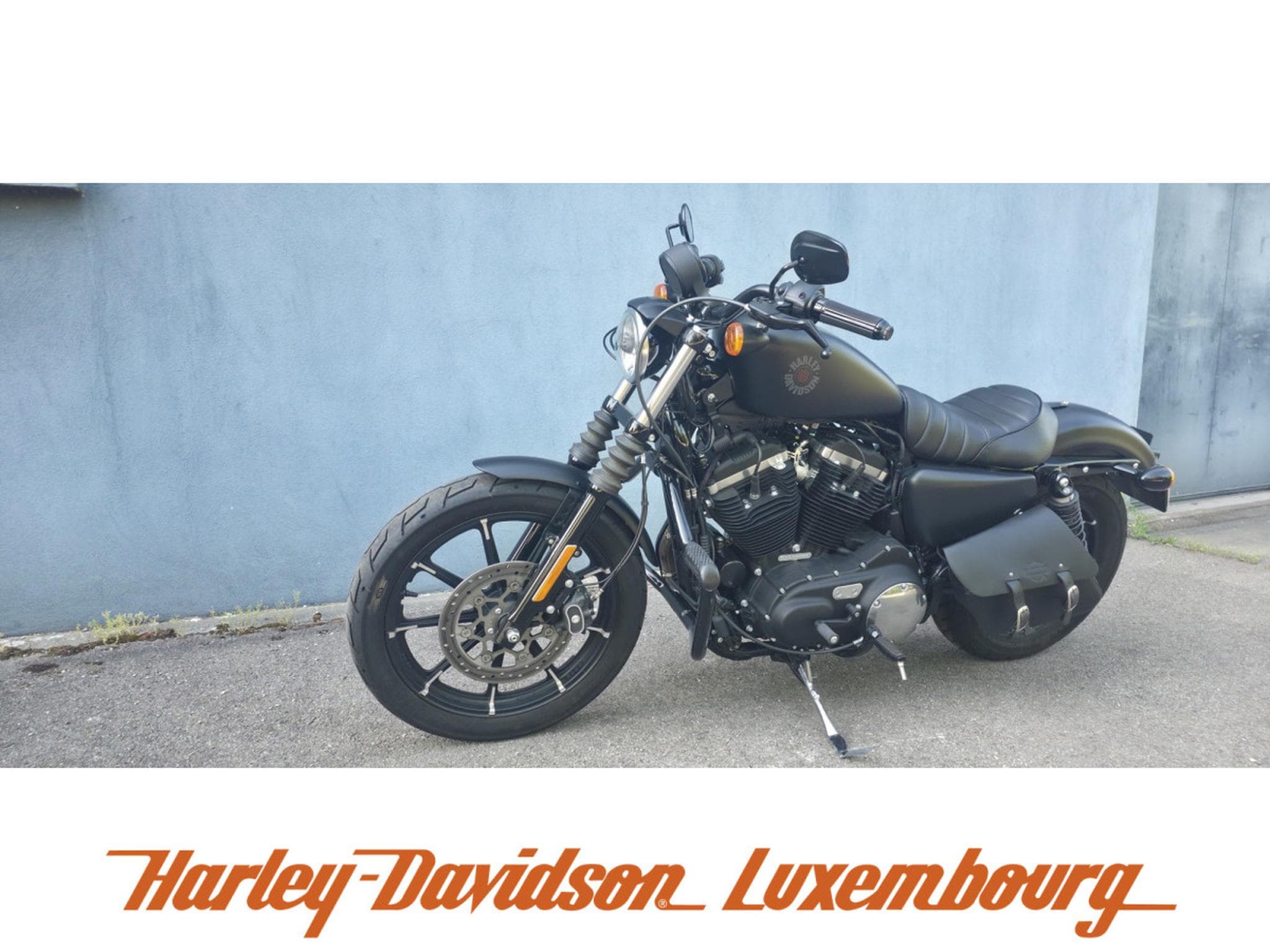 Harley-Davidson Sportster 883 (2019) - Foto 2