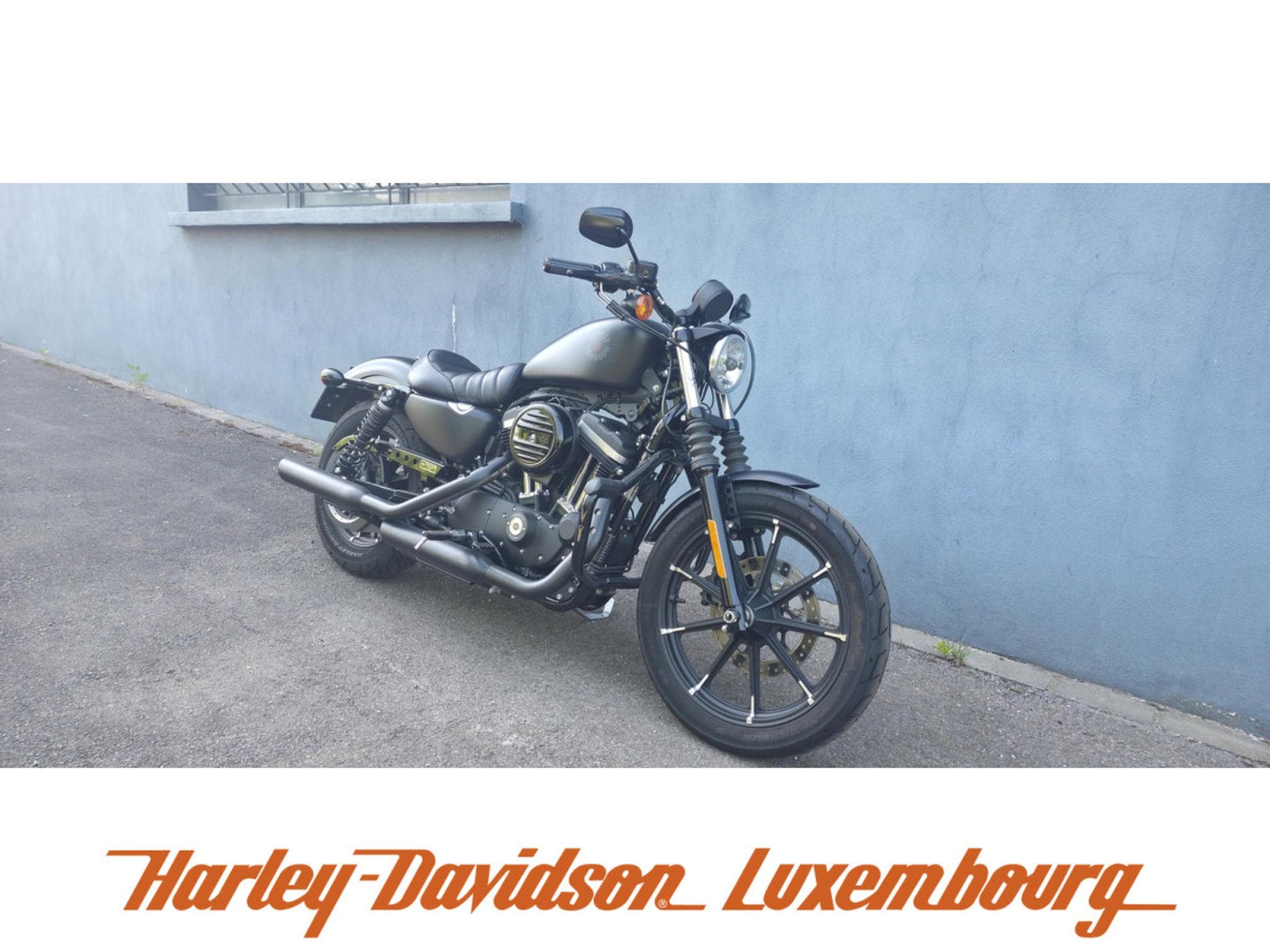 Harley-Davidson Sportster 883 (2019) - Foto 3