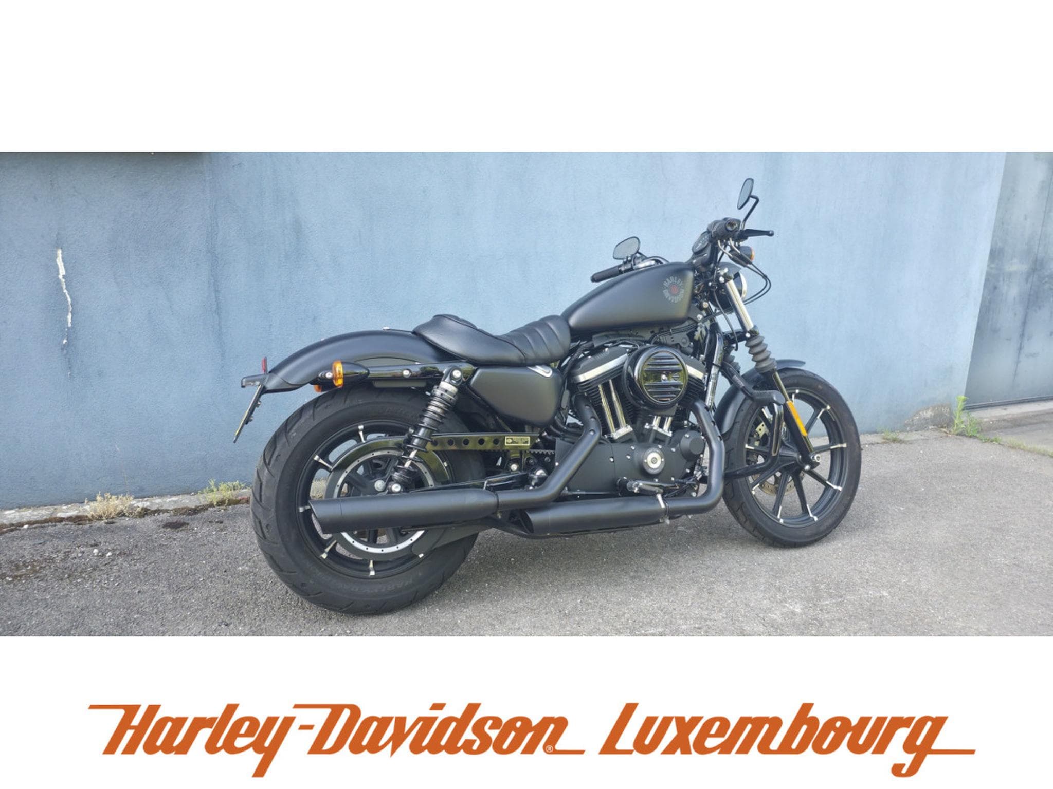 Harley-Davidson Sportster 883 (2019) - Foto 4
