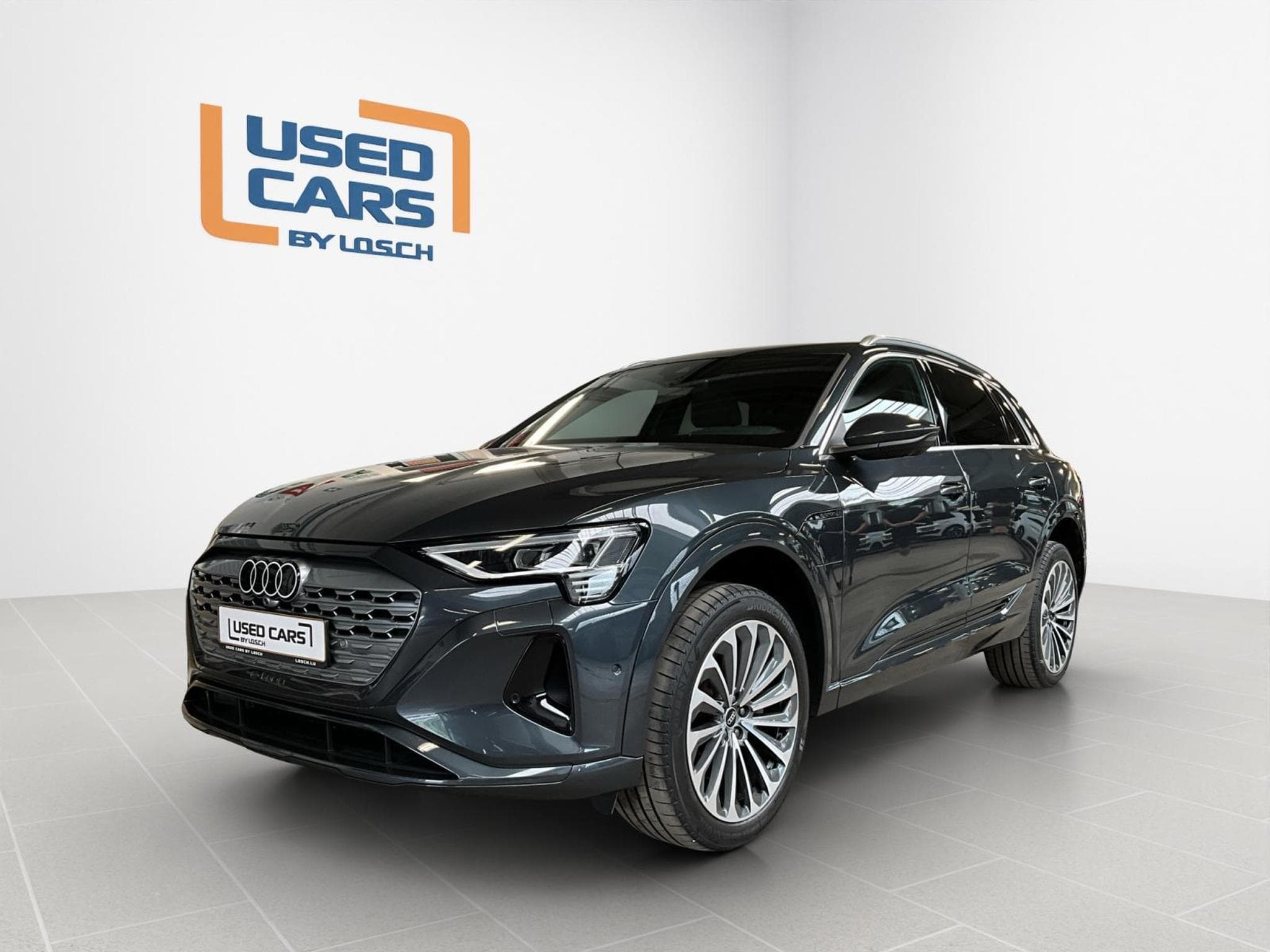 Audi Q8 E-Tron55+Advanced+Quattro+P.Premium (2023) - Photo 1