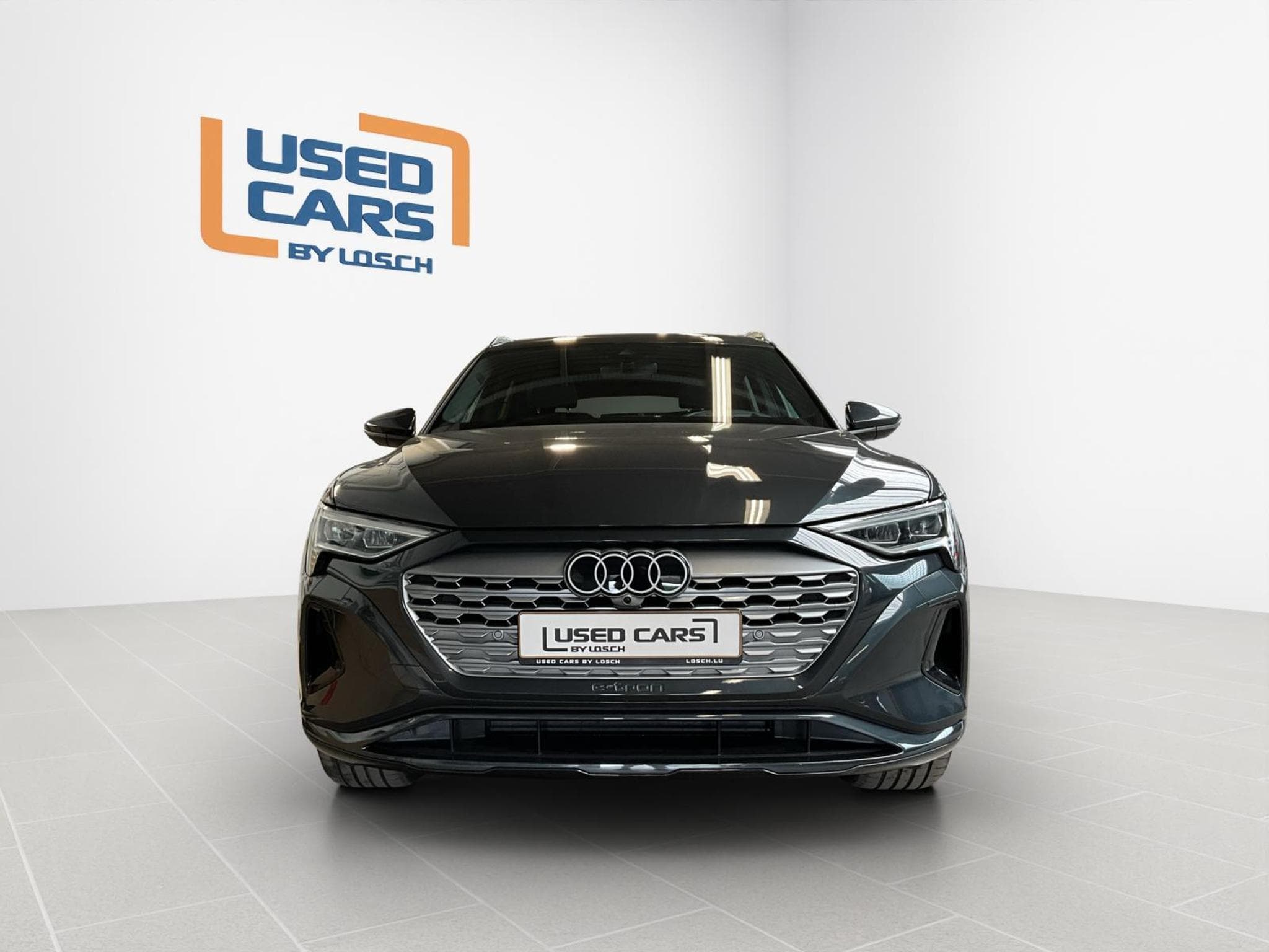 Audi Q8 E-Tron55+Advanced+Quattro+P.Premium (2023) - Photo 3