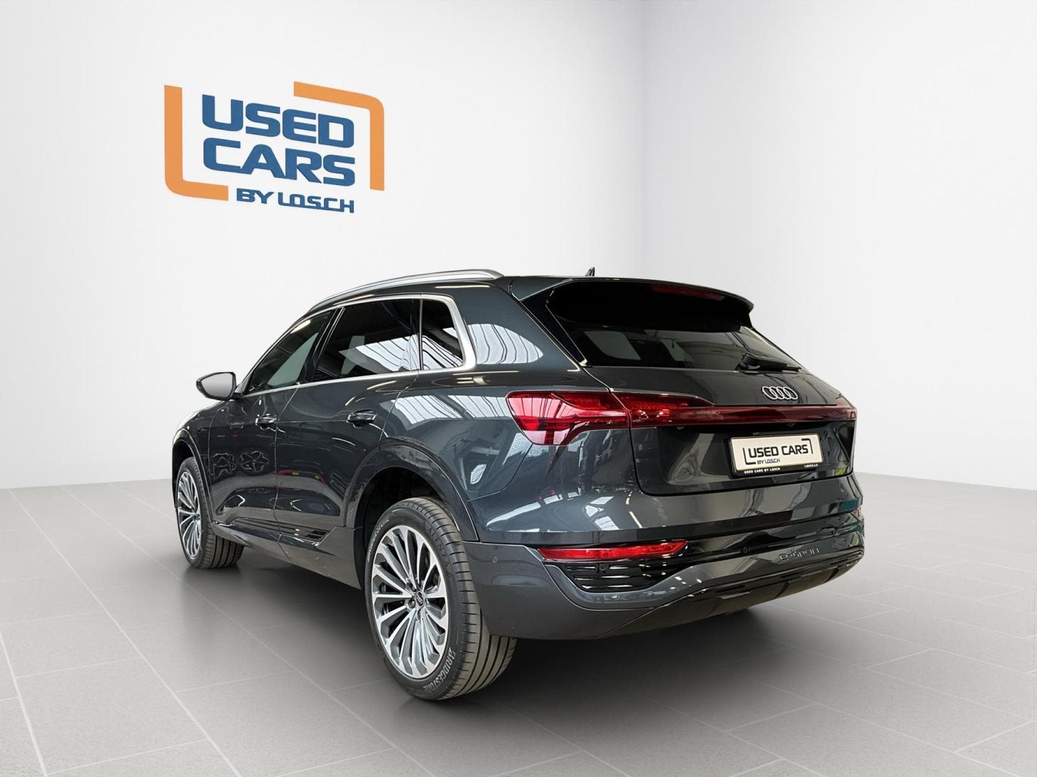 Audi Q8 E-Tron55+Advanced+Quattro+P.Premium (2023) - Photo 6