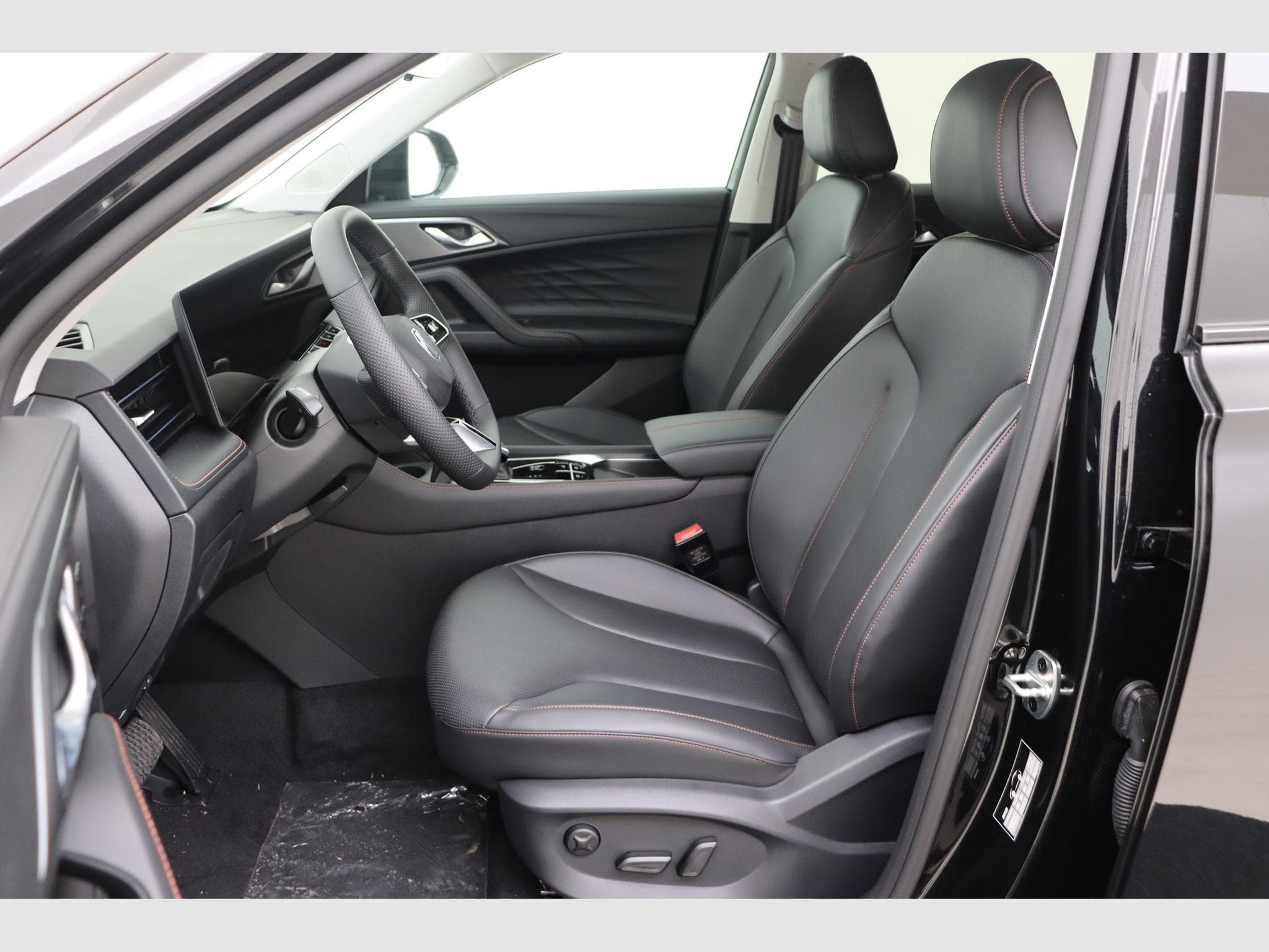 Mg EHS Luxury (2025) - Photo 13