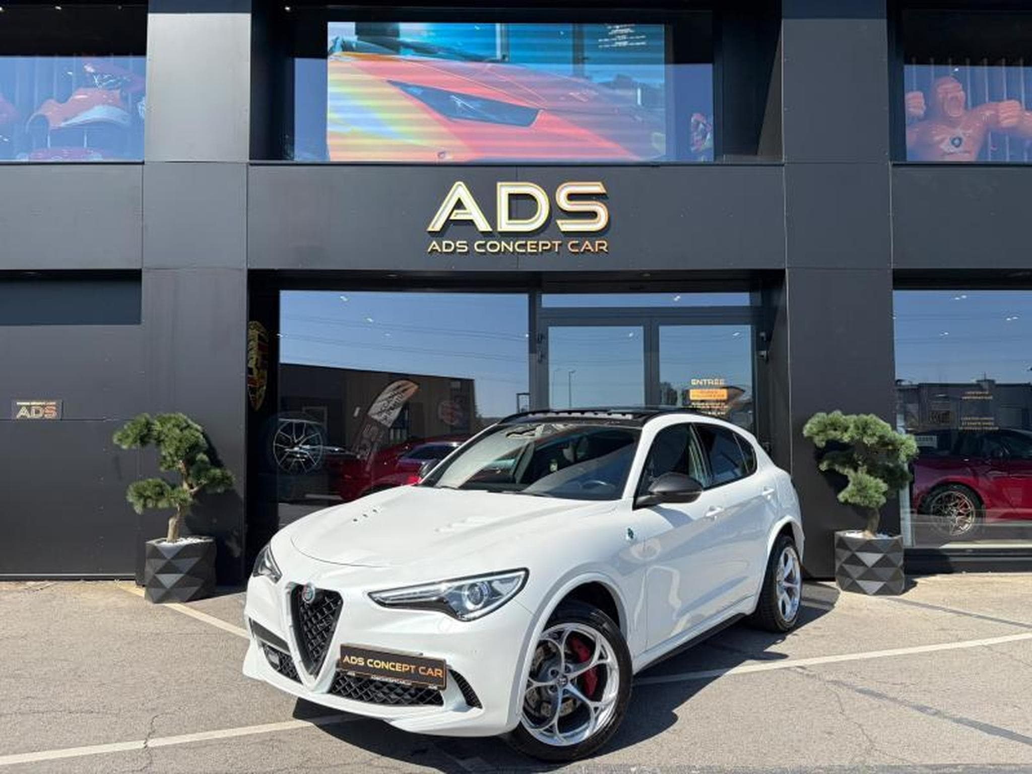 Alfa-Romeo Stelvio Quadrifoglio Q4 Toit ouvrant/Sieges Chauffant/ (2021) - Photo 1