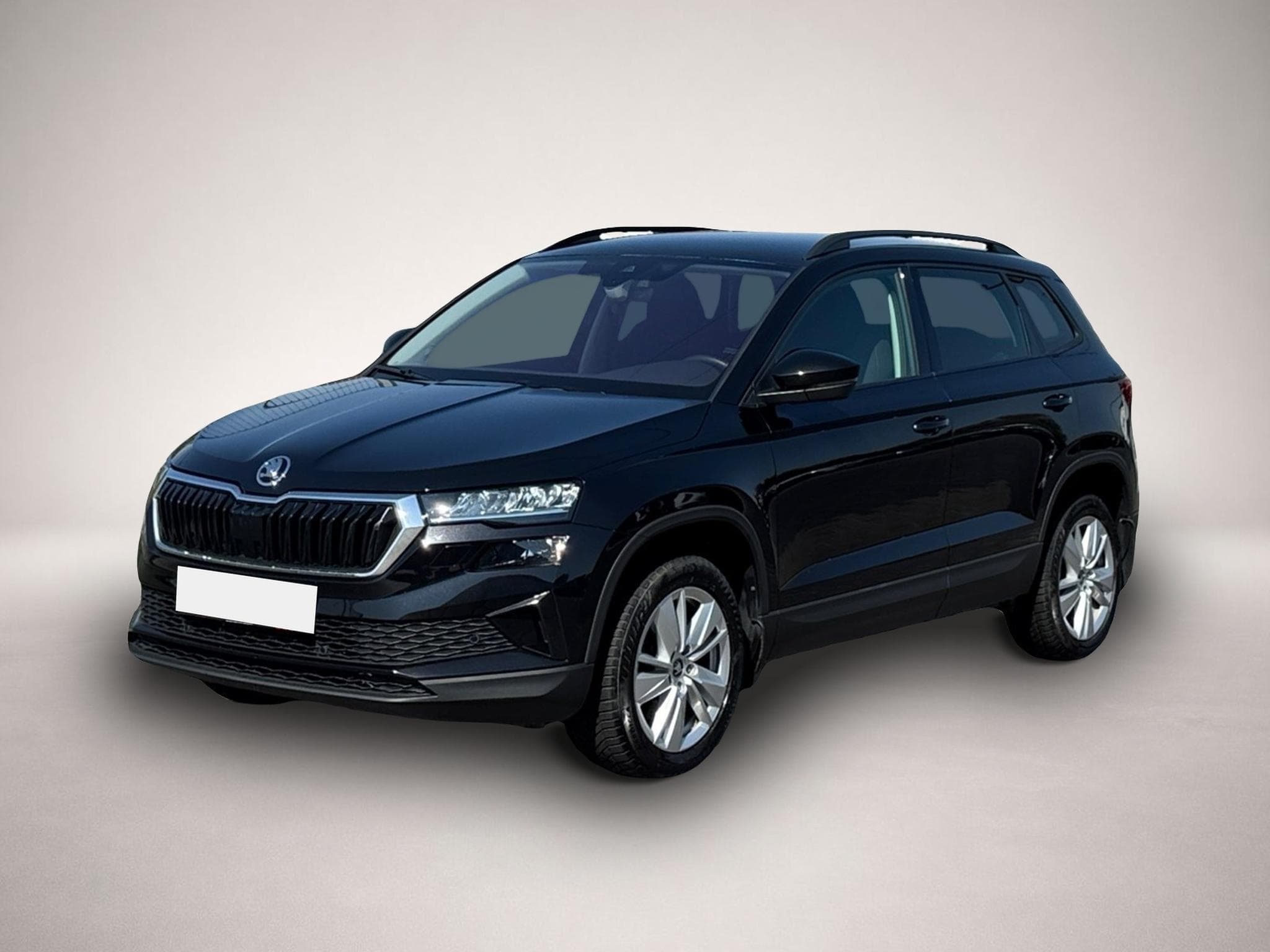 Skoda Roomster (2025) - Photo 1
