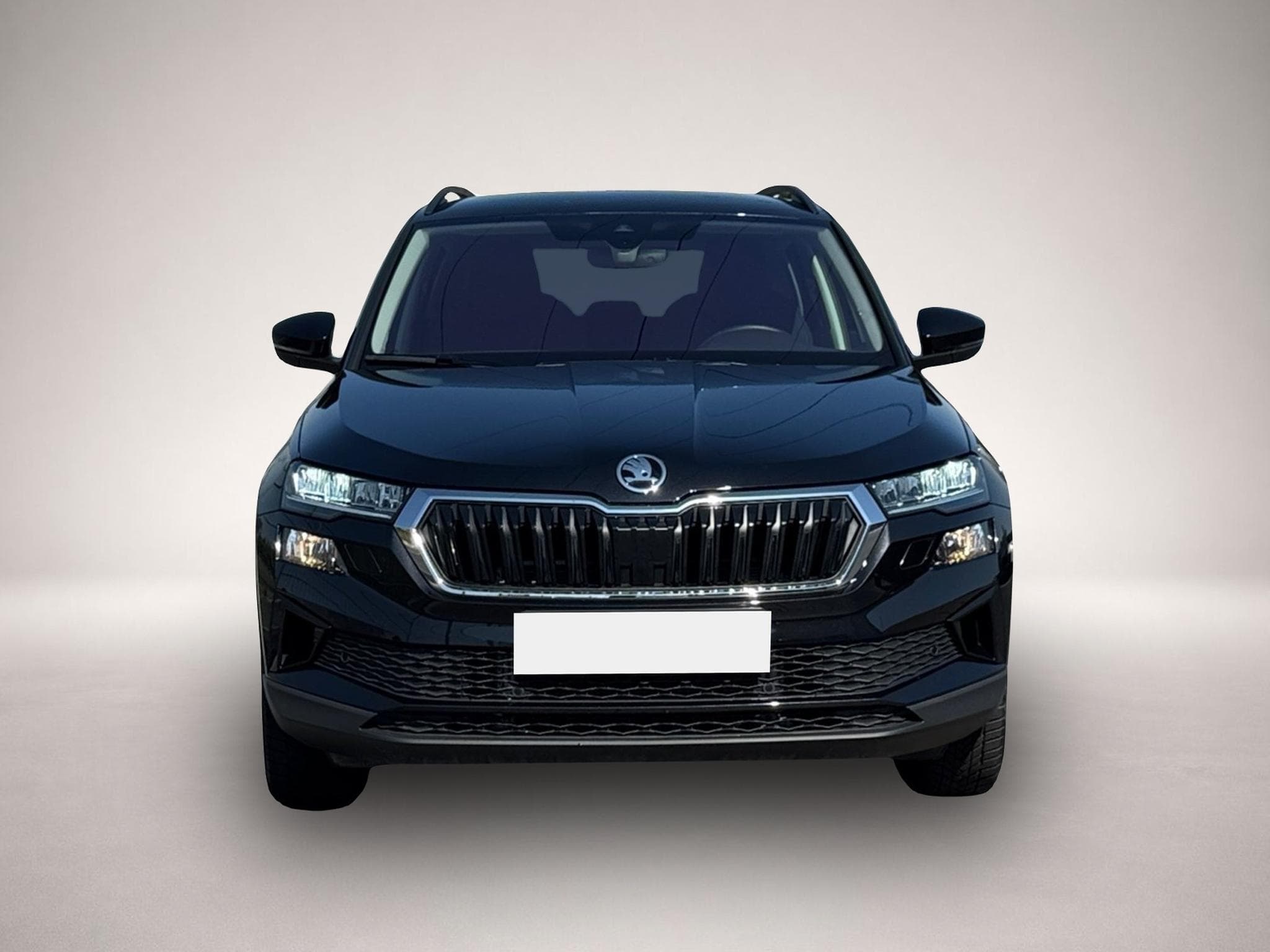 Skoda Roomster (2025) - Photo 2