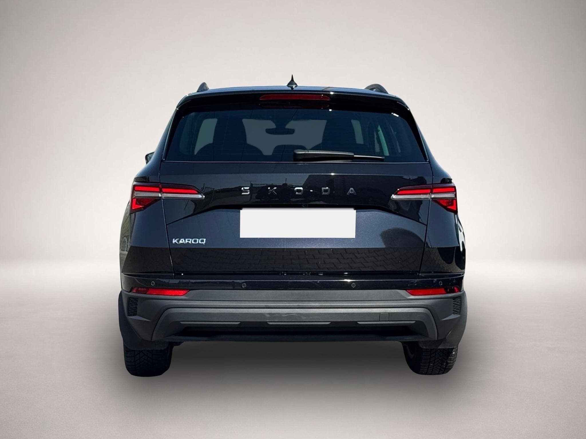 Skoda Roomster (2025) - Photo 5