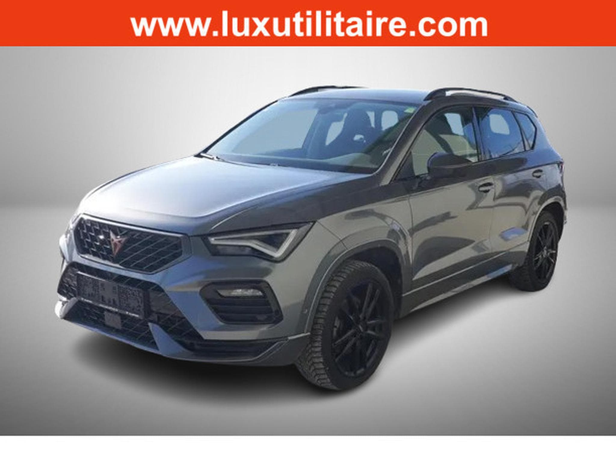 Cupra Ateca 2.0 TSi DSG 190 (2025) - Photo 1