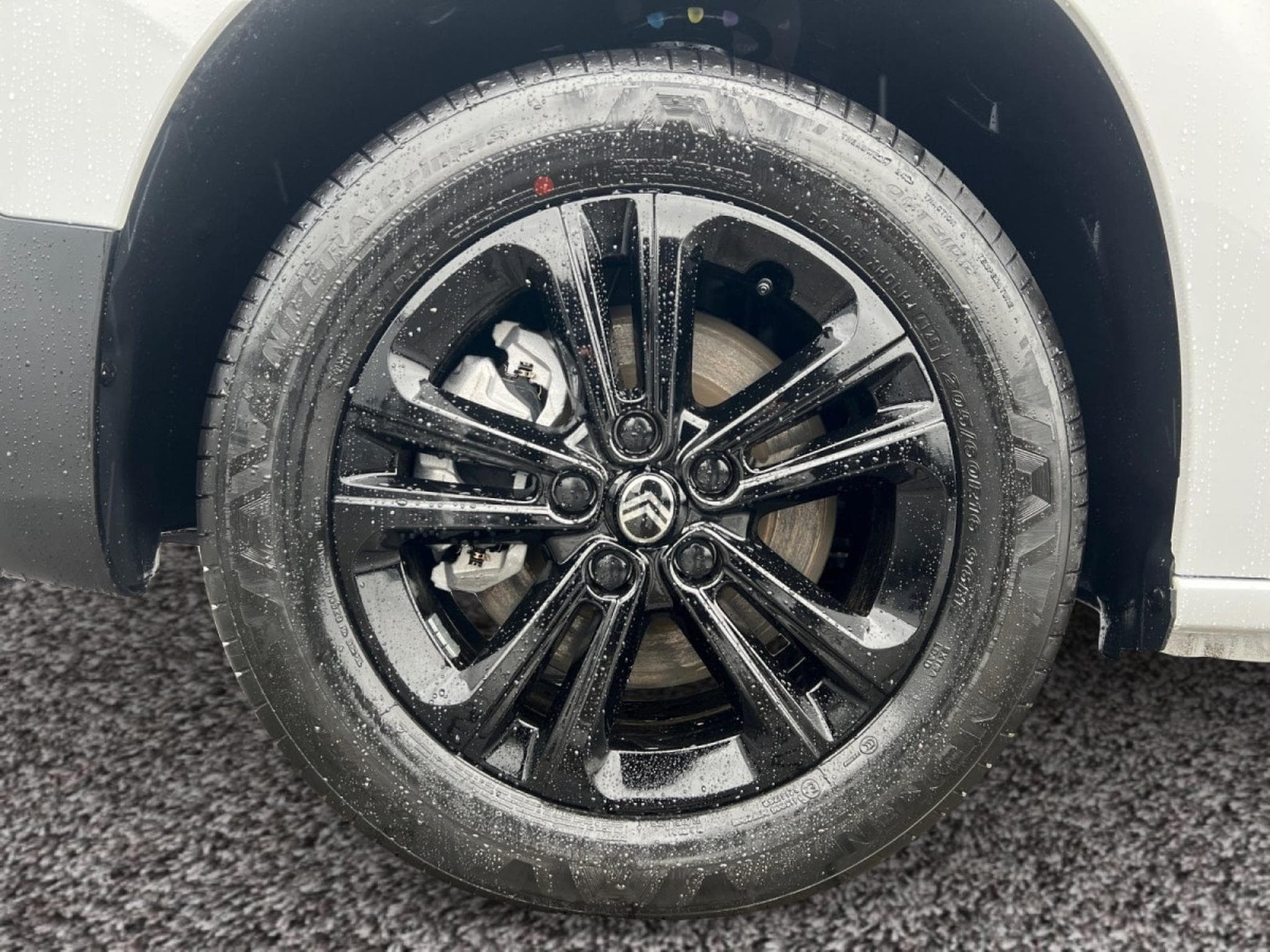 Citroën Berlingo 1.5 BlueHDi 130 EAT8 MAX (2026) - Photo 5