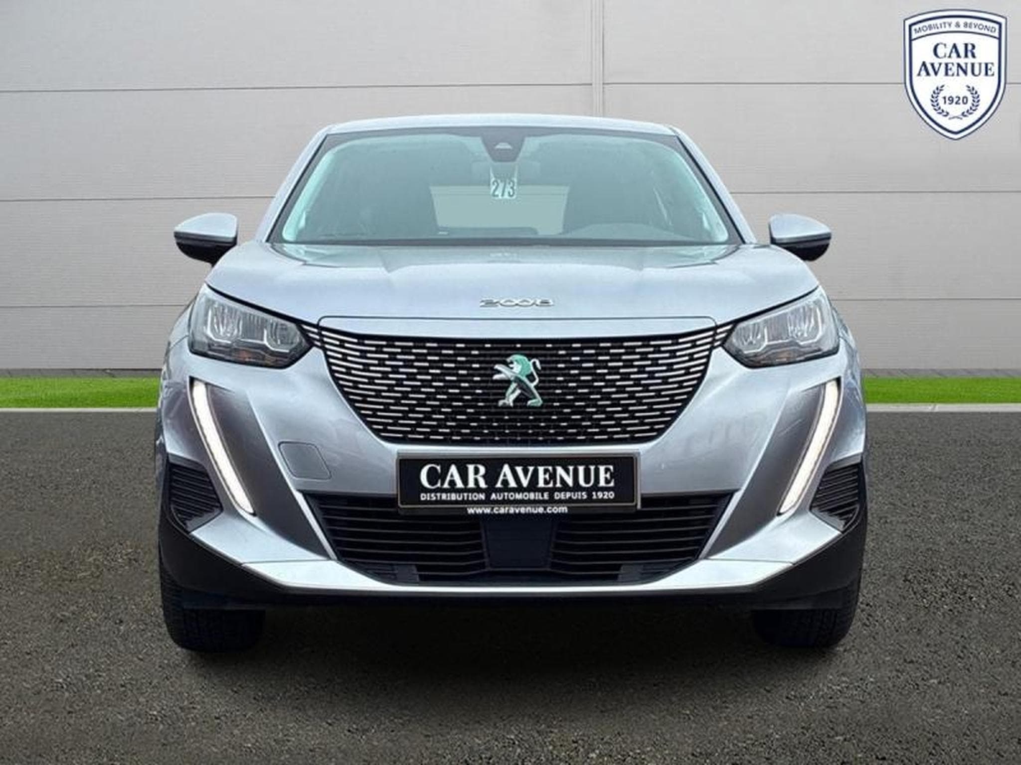 PEUGEOT 2008 e-2008 136ch Active (2021) - Foto 3