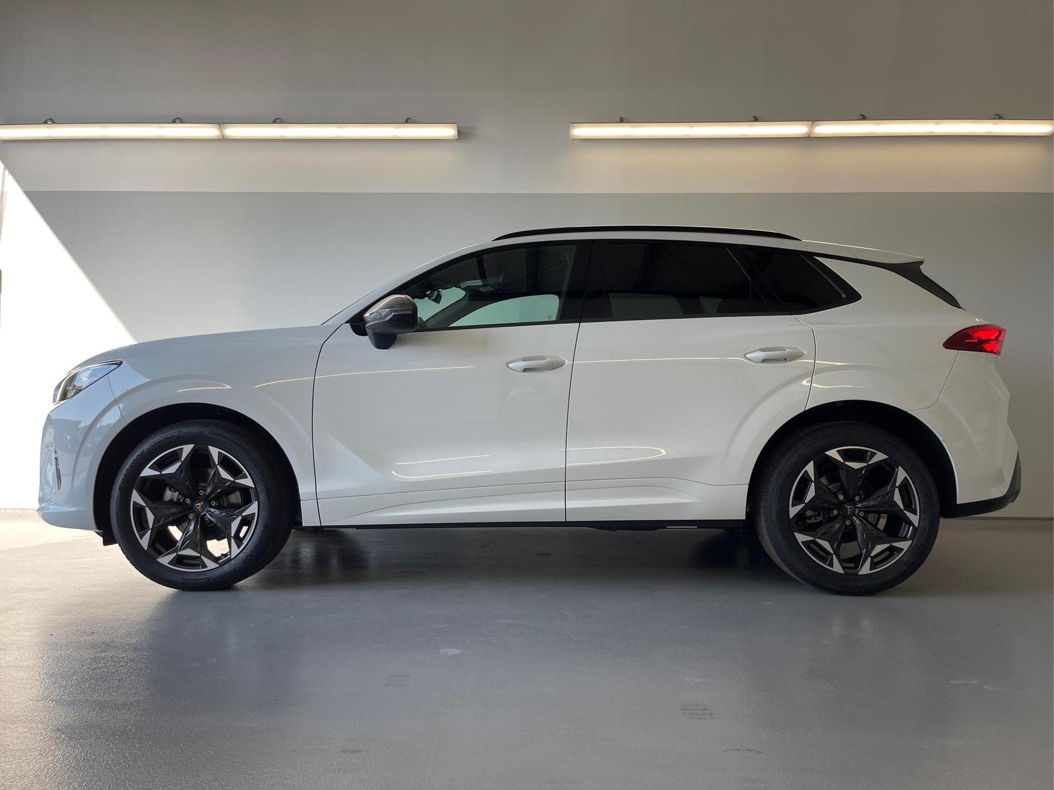 Cupra Terramar Terramar (2026) - Photo 3