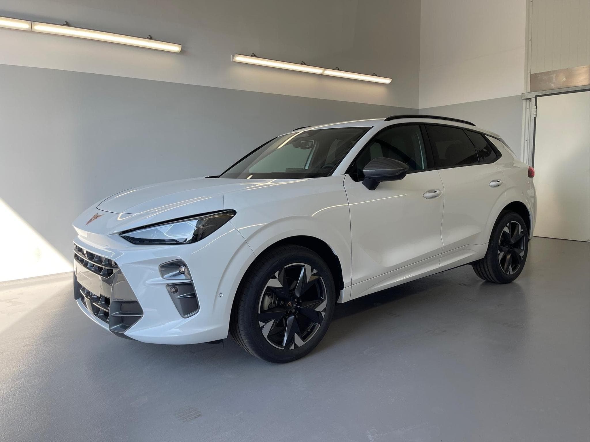 Cupra Terramar Terramar (2026) - Photo 1