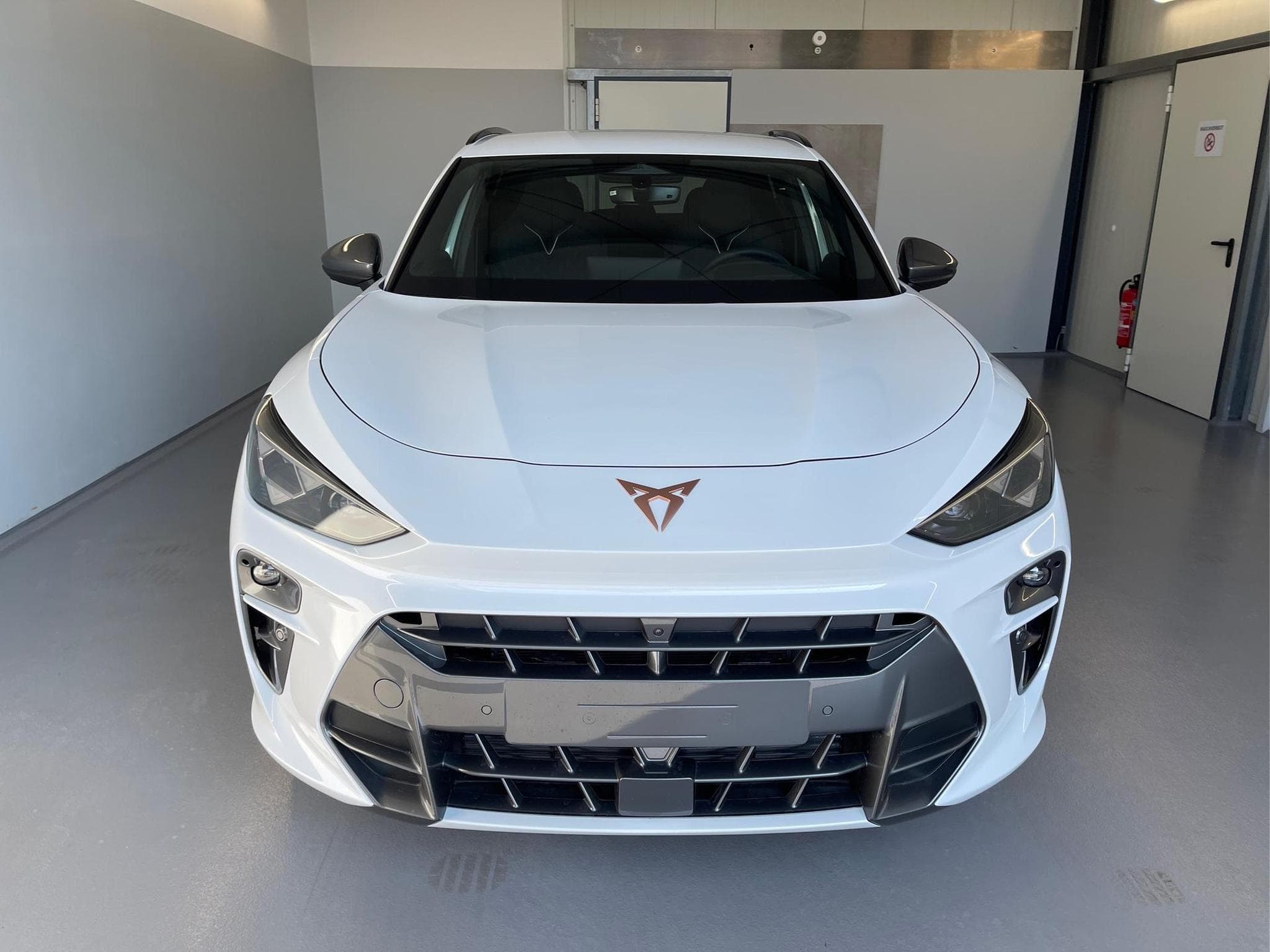 Cupra Terramar Terramar (2026) - Photo 2