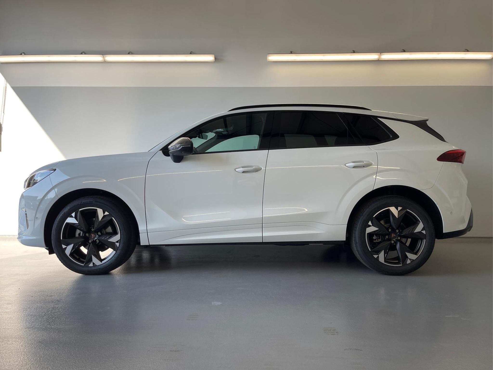 Cupra Terramar Terramar (2026) - Photo 3