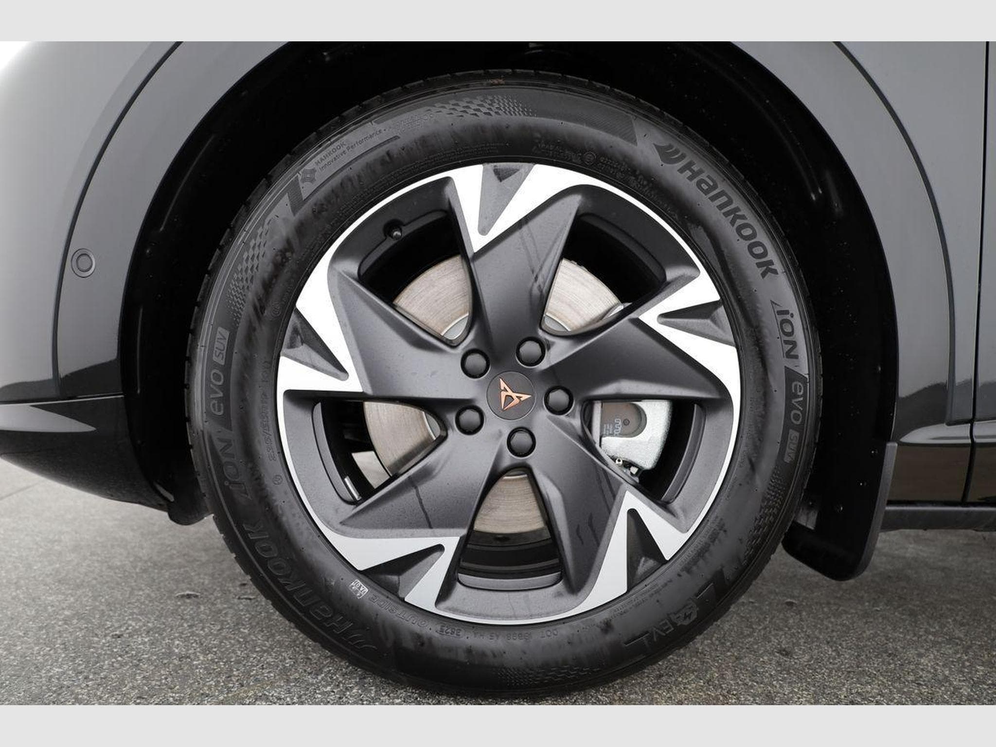 Cupra Tavascan 210 kW Endurance (2026) - Photo 13